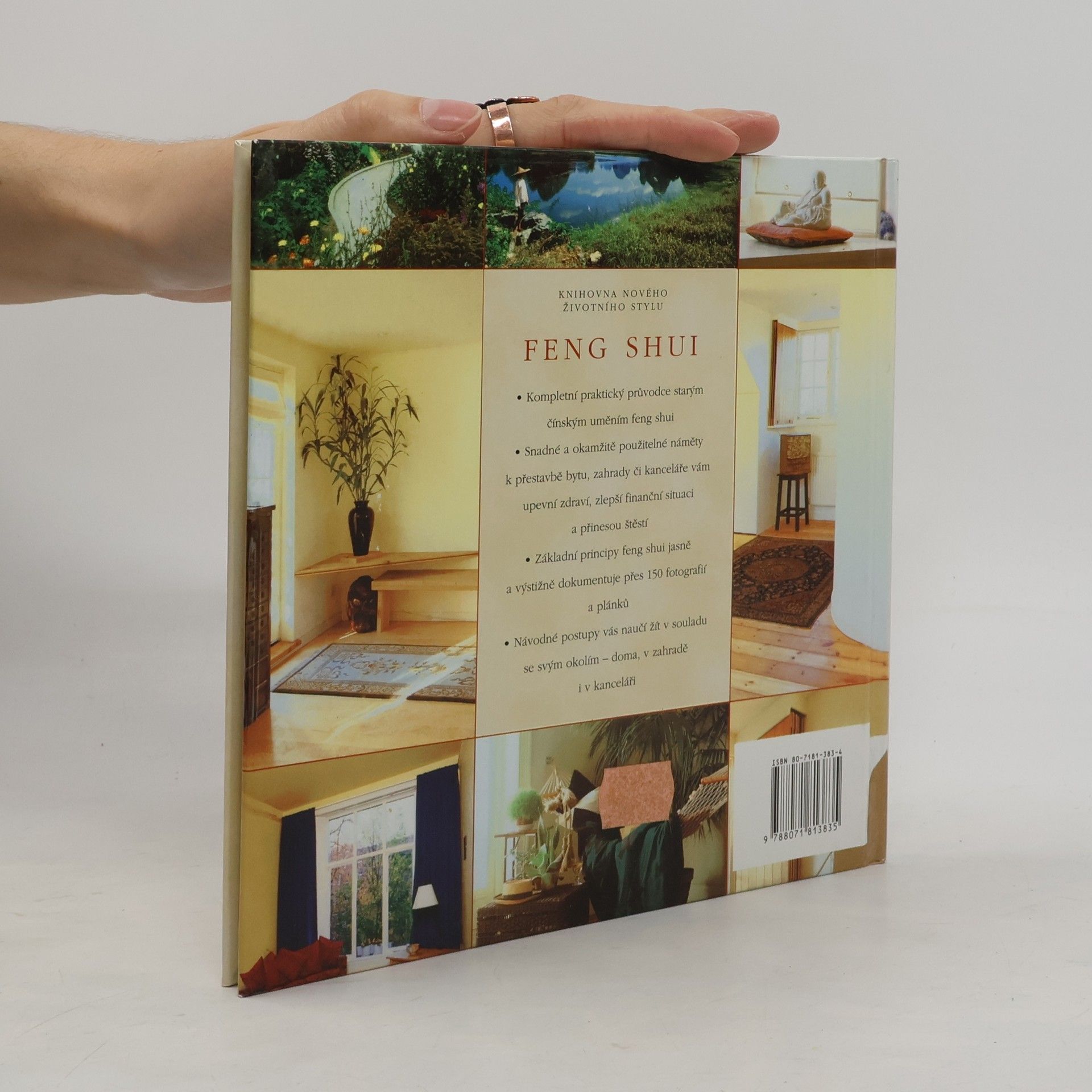 Richard Templar Feng shui