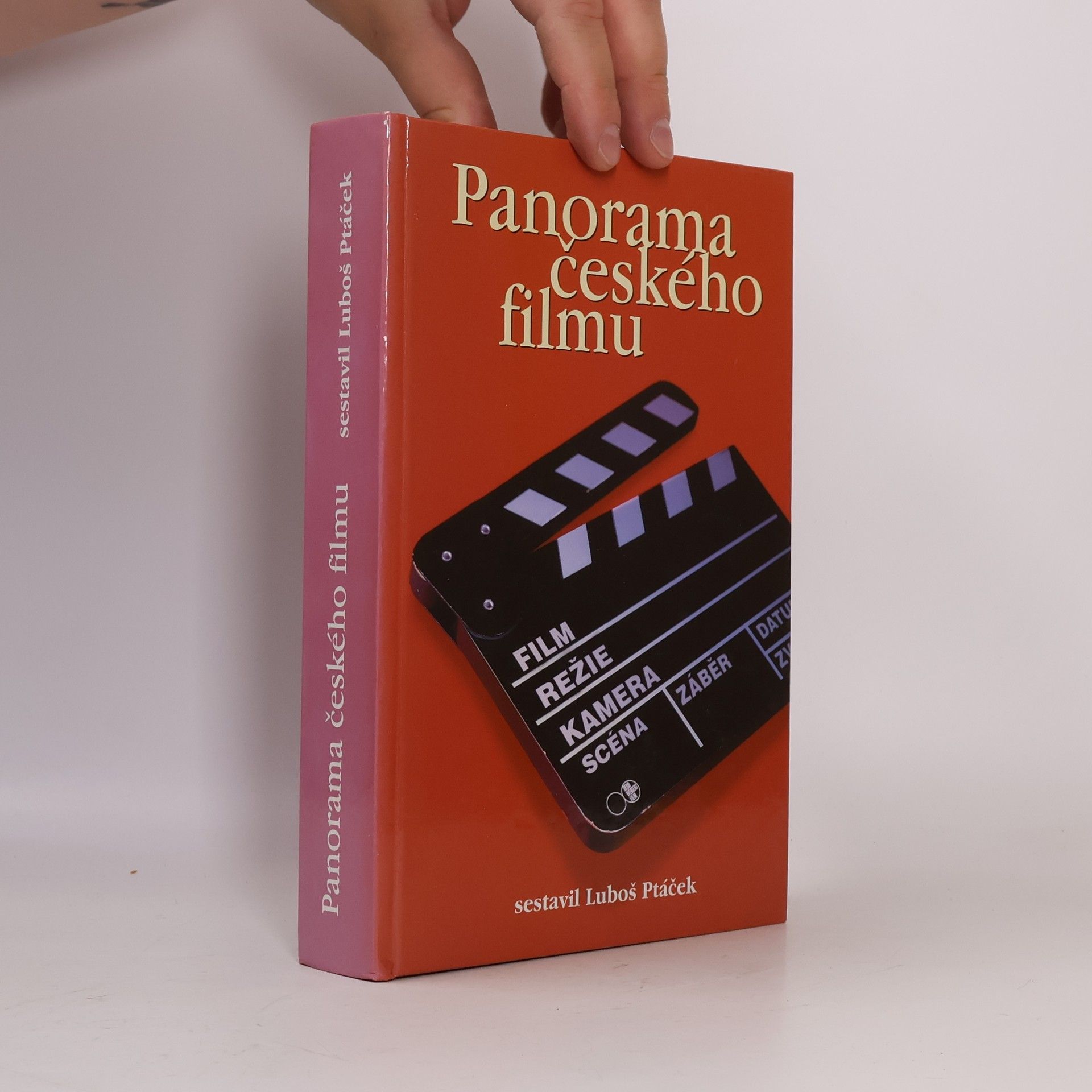 Petr Bilík Panorama českého filmu