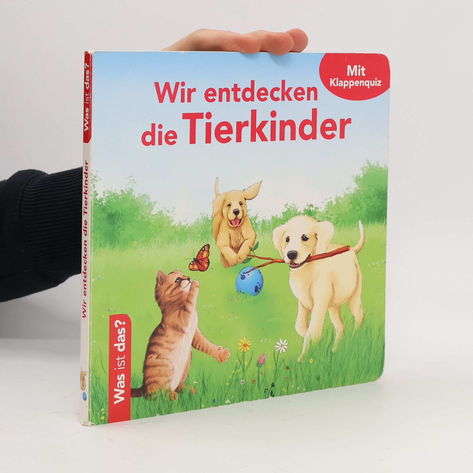 Autorenkollektiv Wir entdecken die Tierkinder