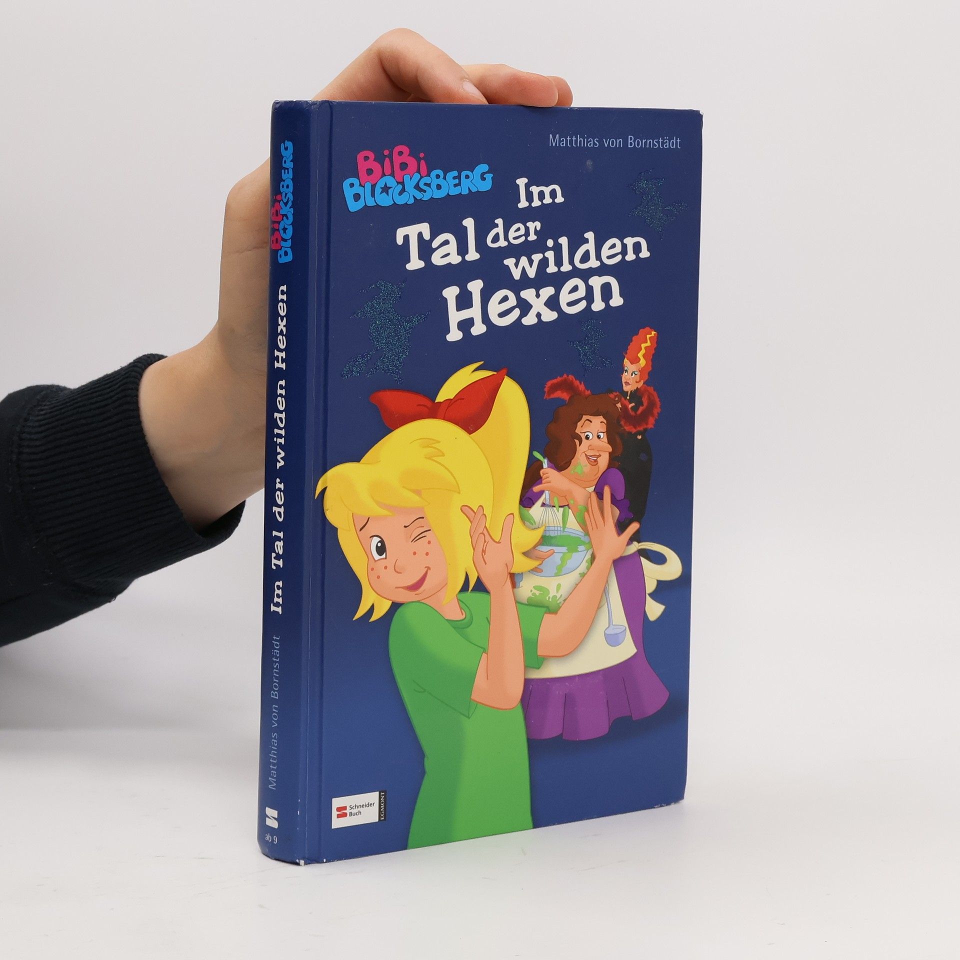 Bibi Blocksberg - Im Tal der wilden Hexen