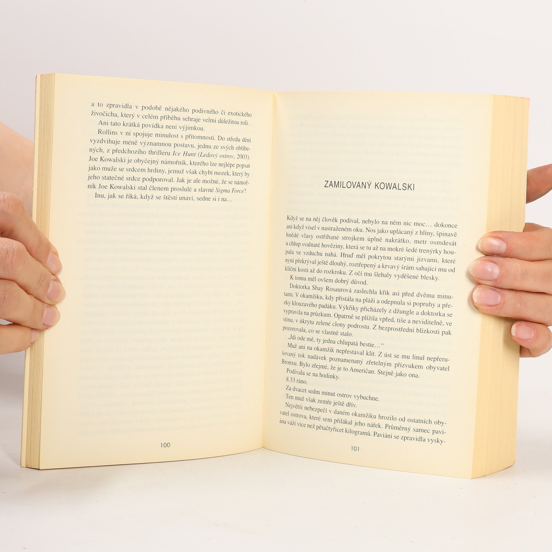 Ted Bell Thriller