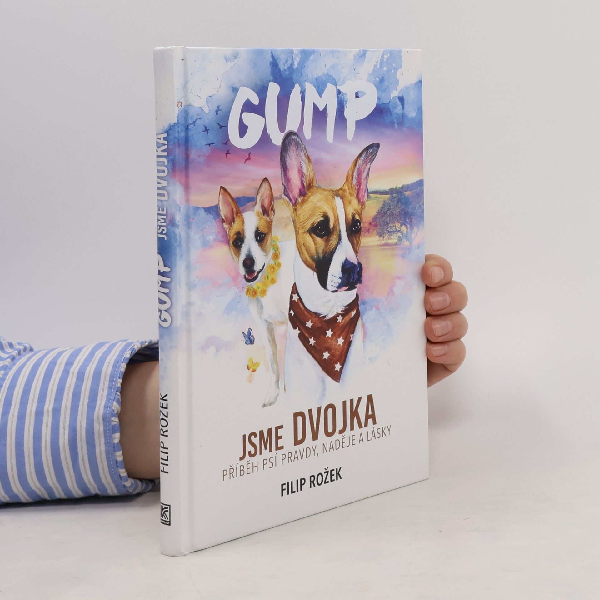 Filip Rožek Gump jsme dvojka: Příběh psí pravdy, naděje a lásky