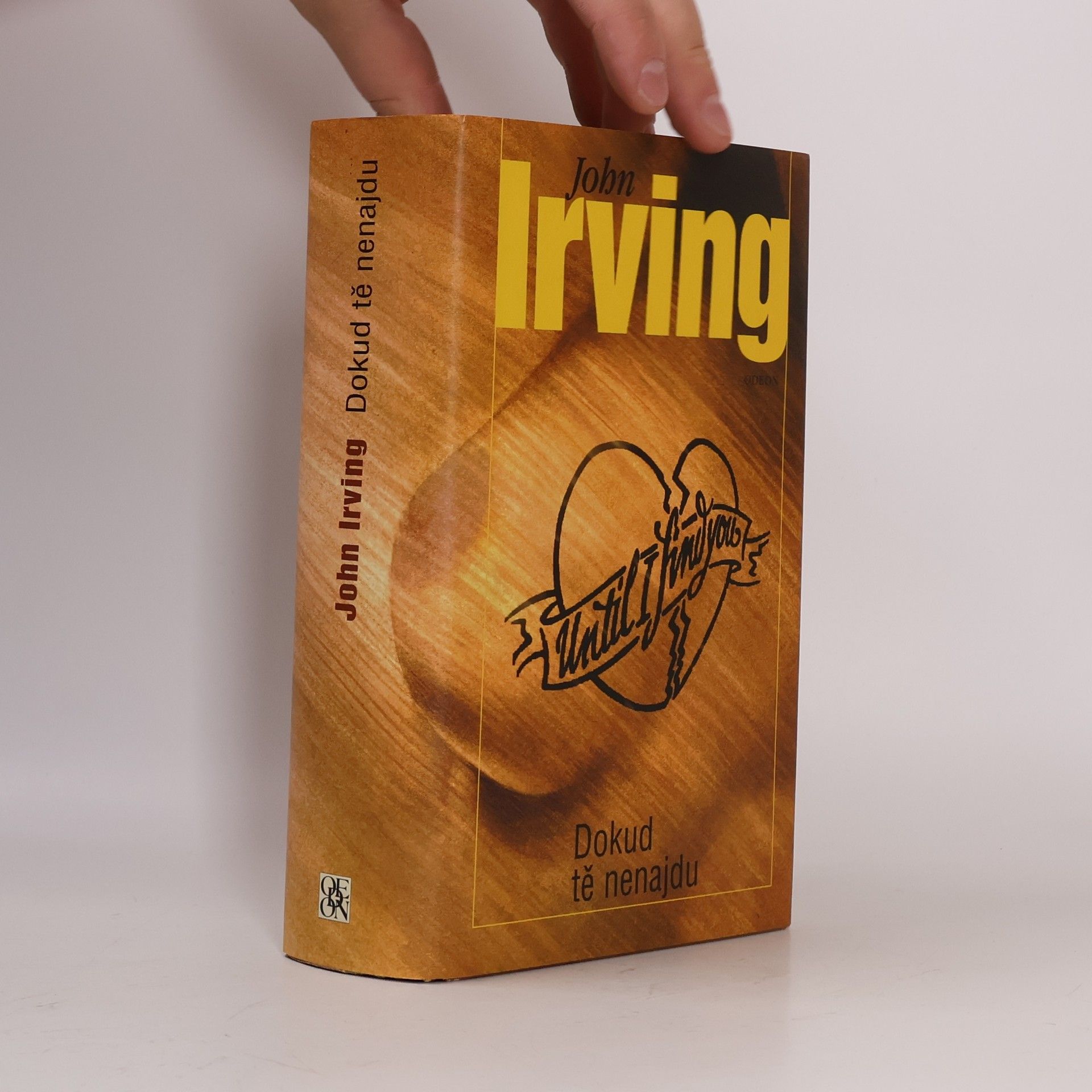 John Irving Dokud tě nenajdu
