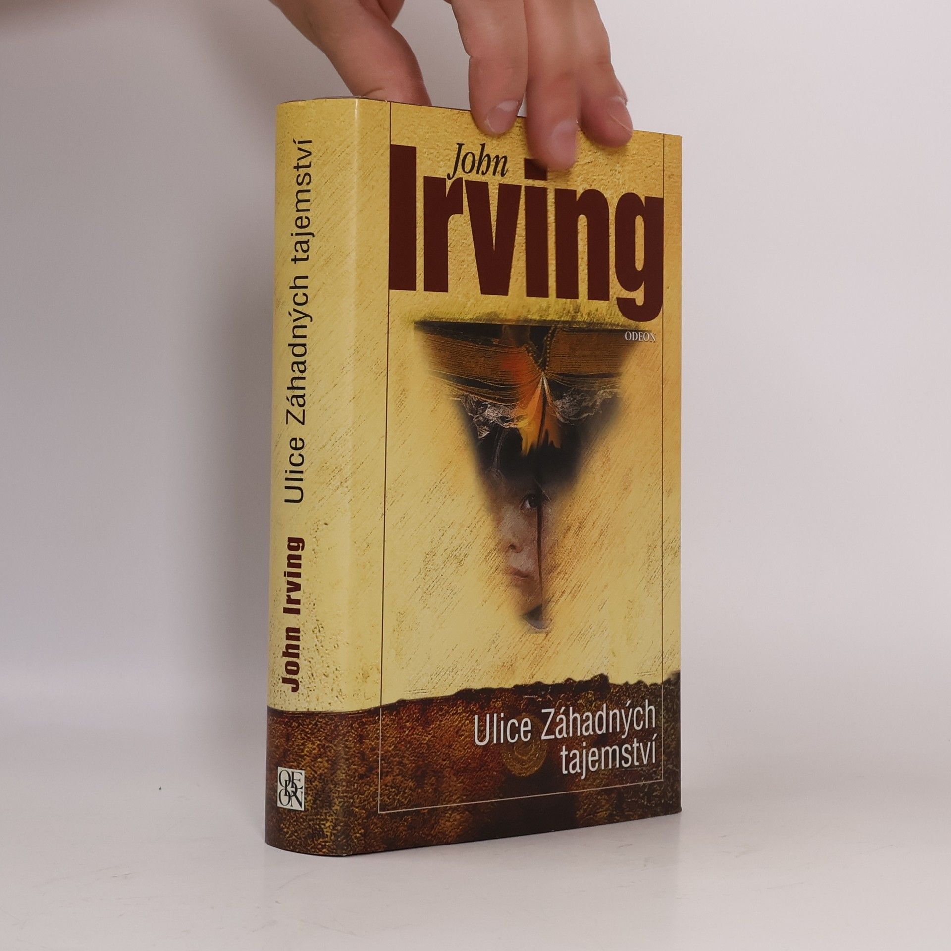 John Irving Ulice Záhadných tajemství