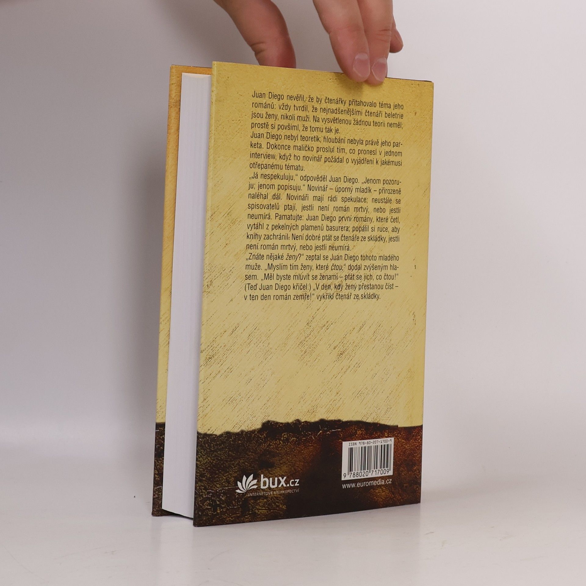 John Irving Ulice Záhadných tajemství