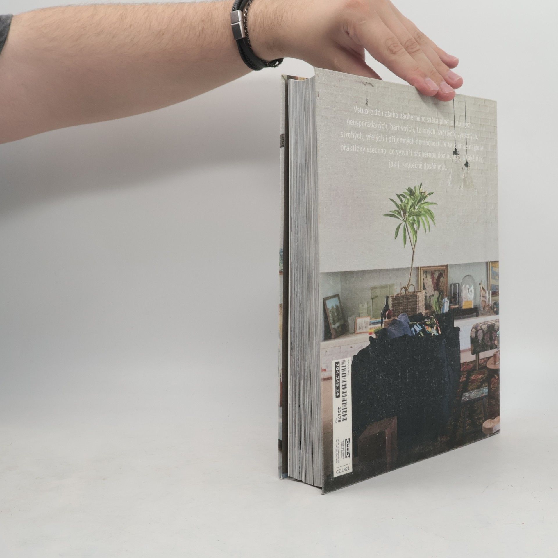 Collectif d'auteurs Milujeme domov