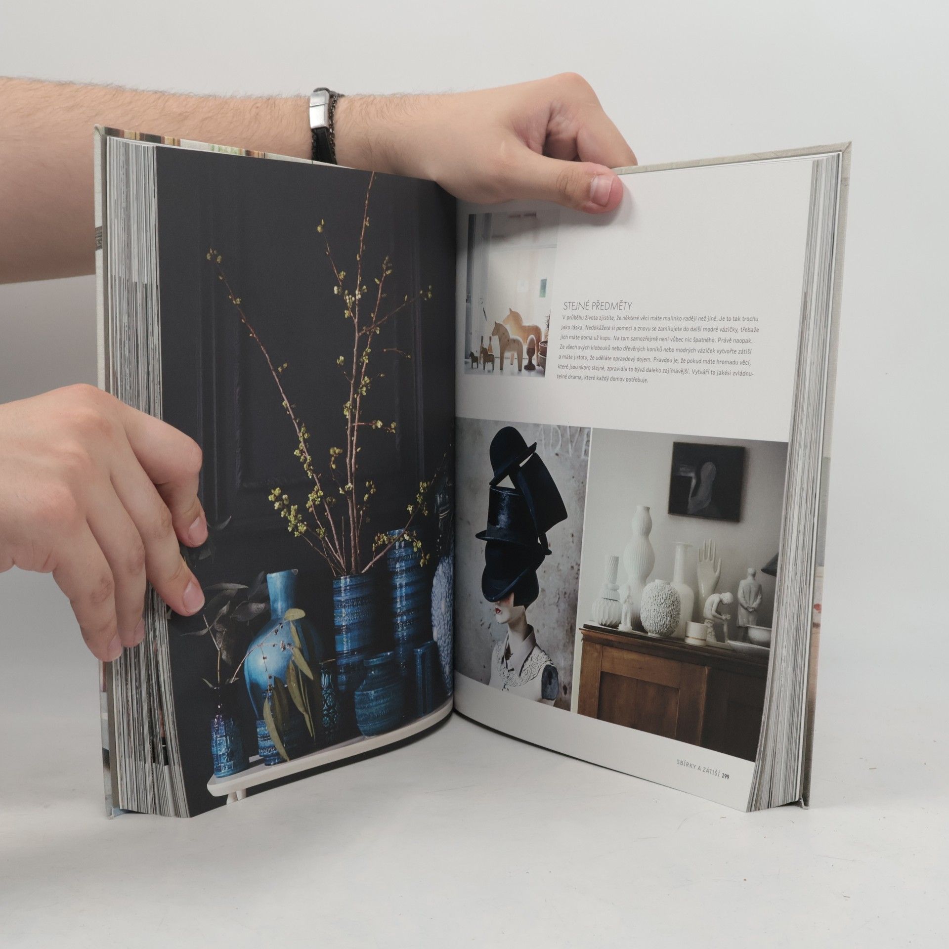 Collectif d'auteurs Milujeme domov