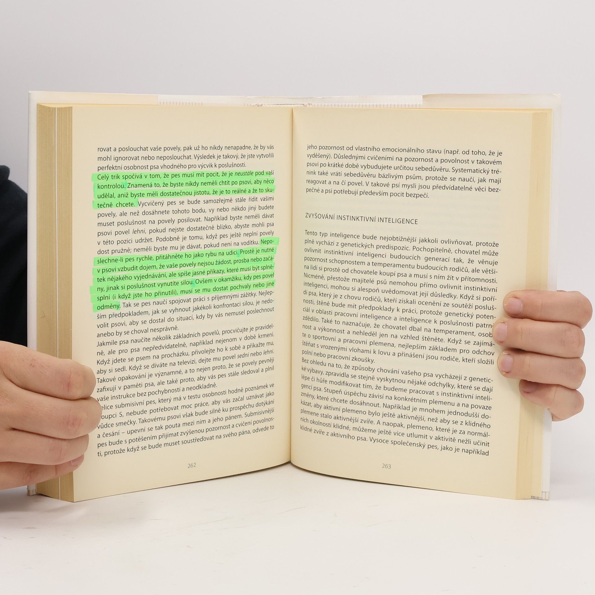 Stanley Coren Inteligence psů