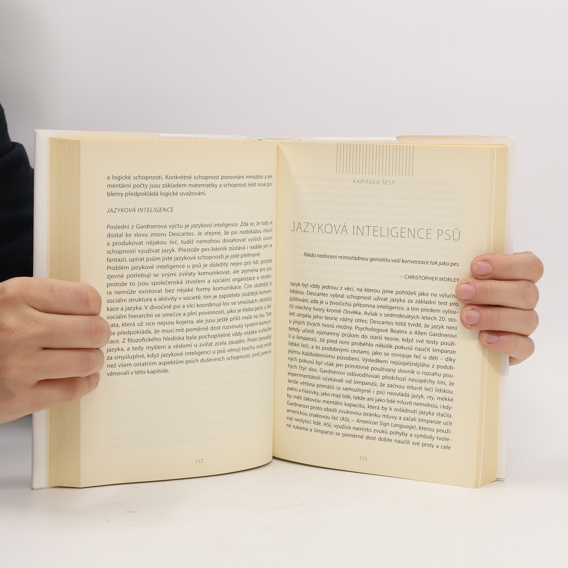 Stanley Coren Inteligence psů