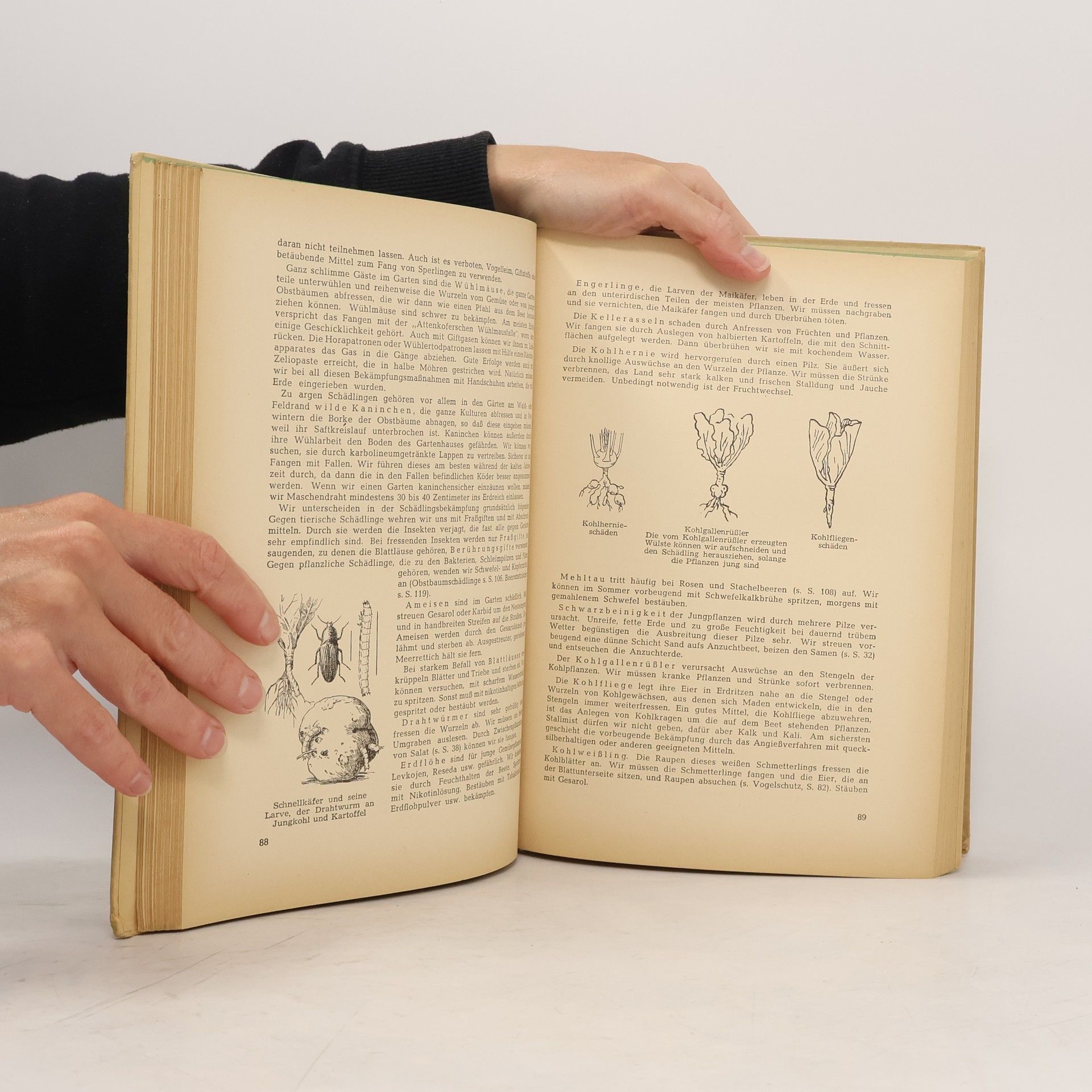 Martha Schmidt-Theile Das Grüne Gartenbuch