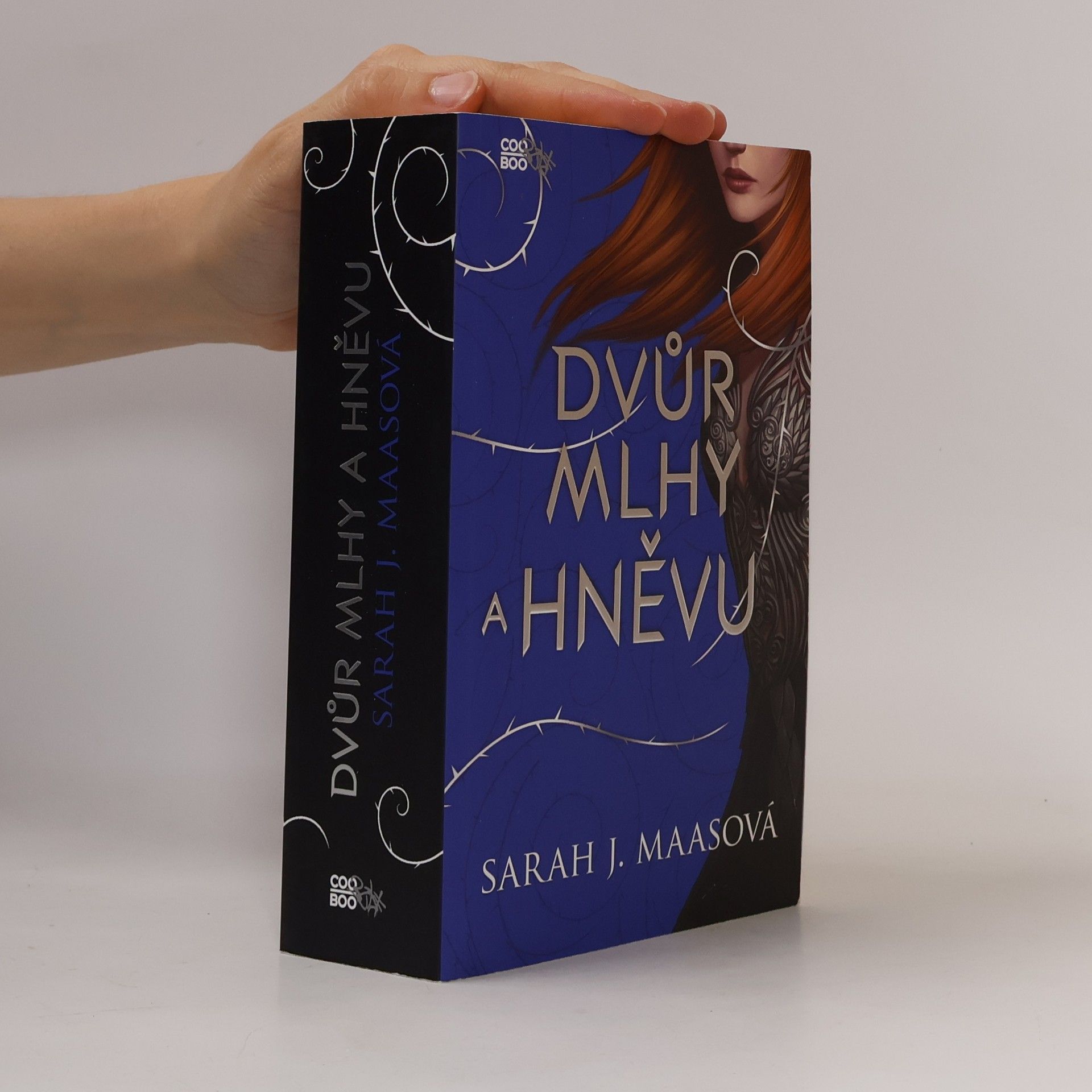 Sarah J. Maas Dvůr mlhy a hněvu