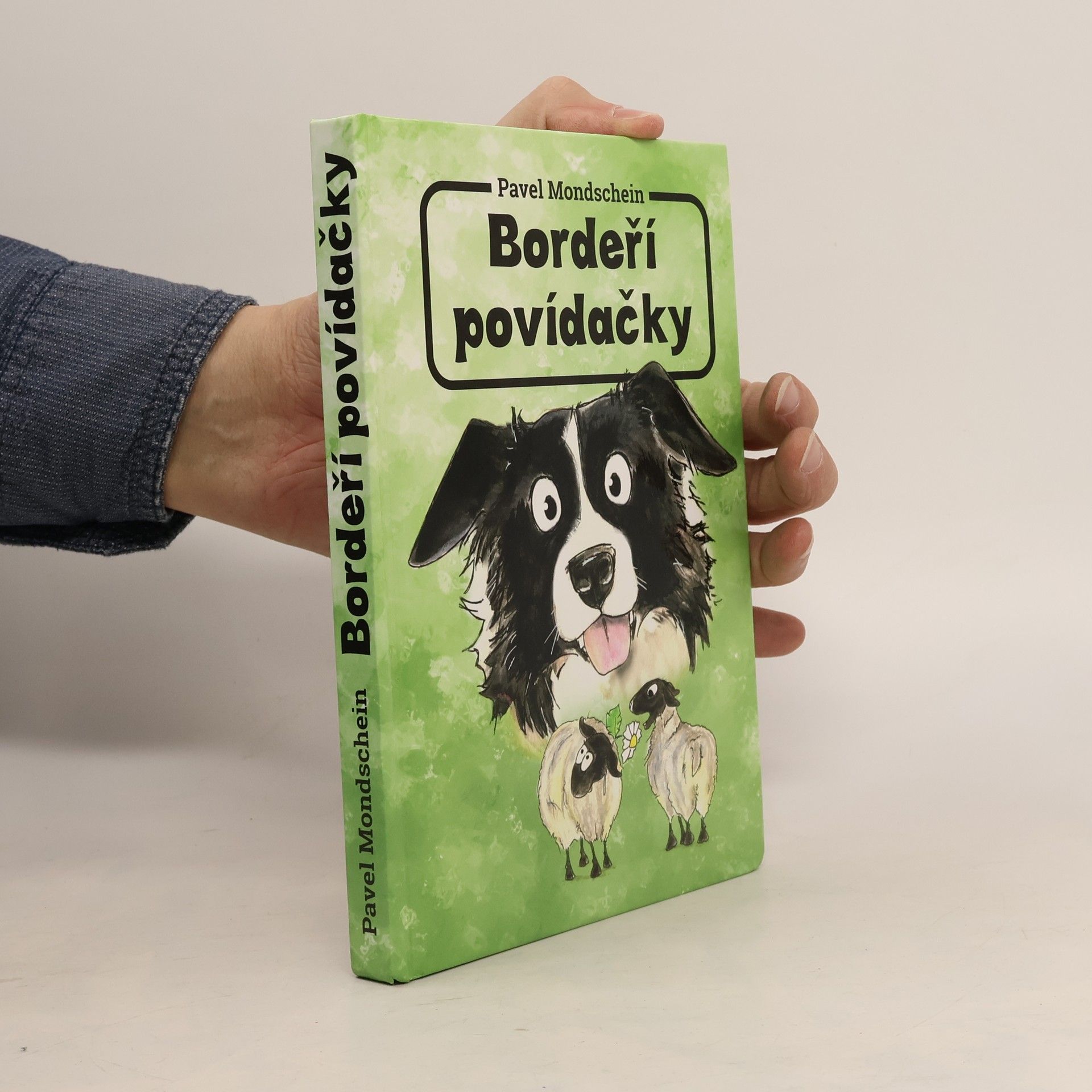 Alena Doubravová Bordeří povídačky