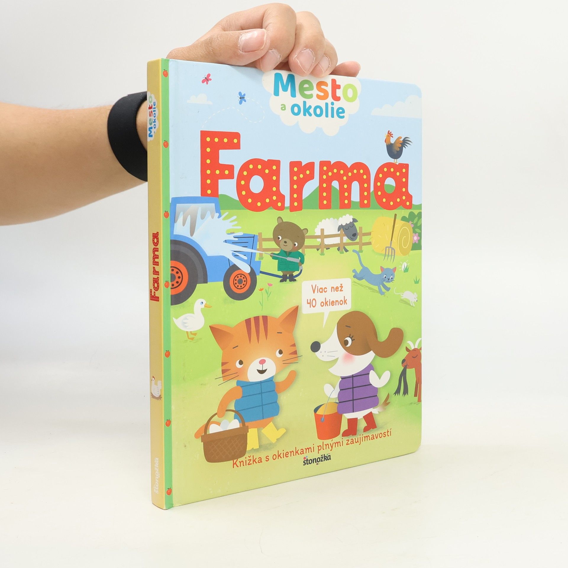 Kolektiv autorů Mesto a okolie. Farma
