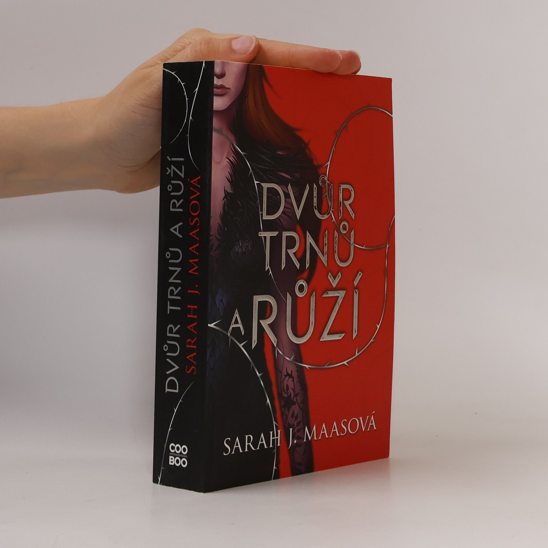 Sarah J. Maas Dvůr trnů a růží