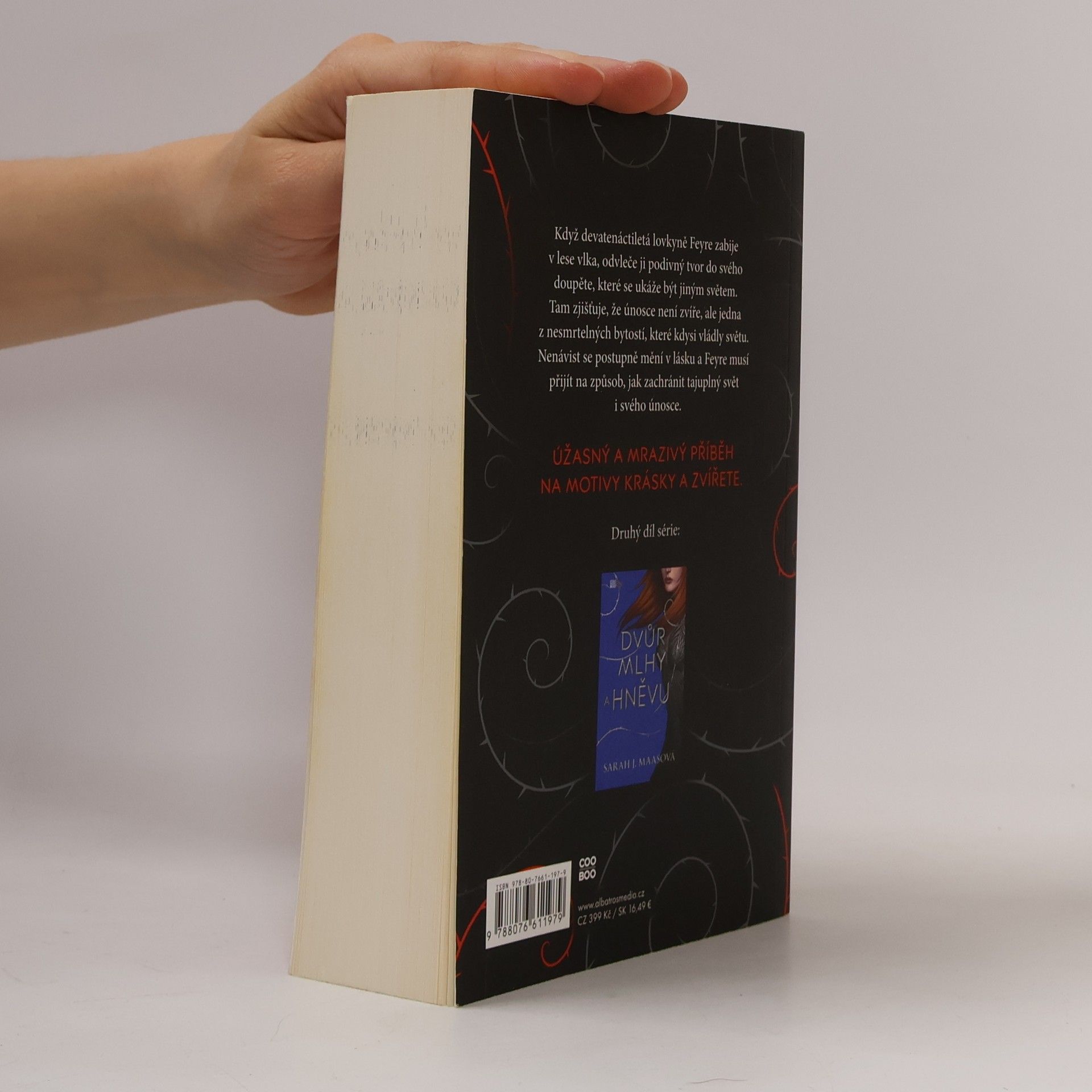 Sarah J. Maas Dvůr trnů a růží