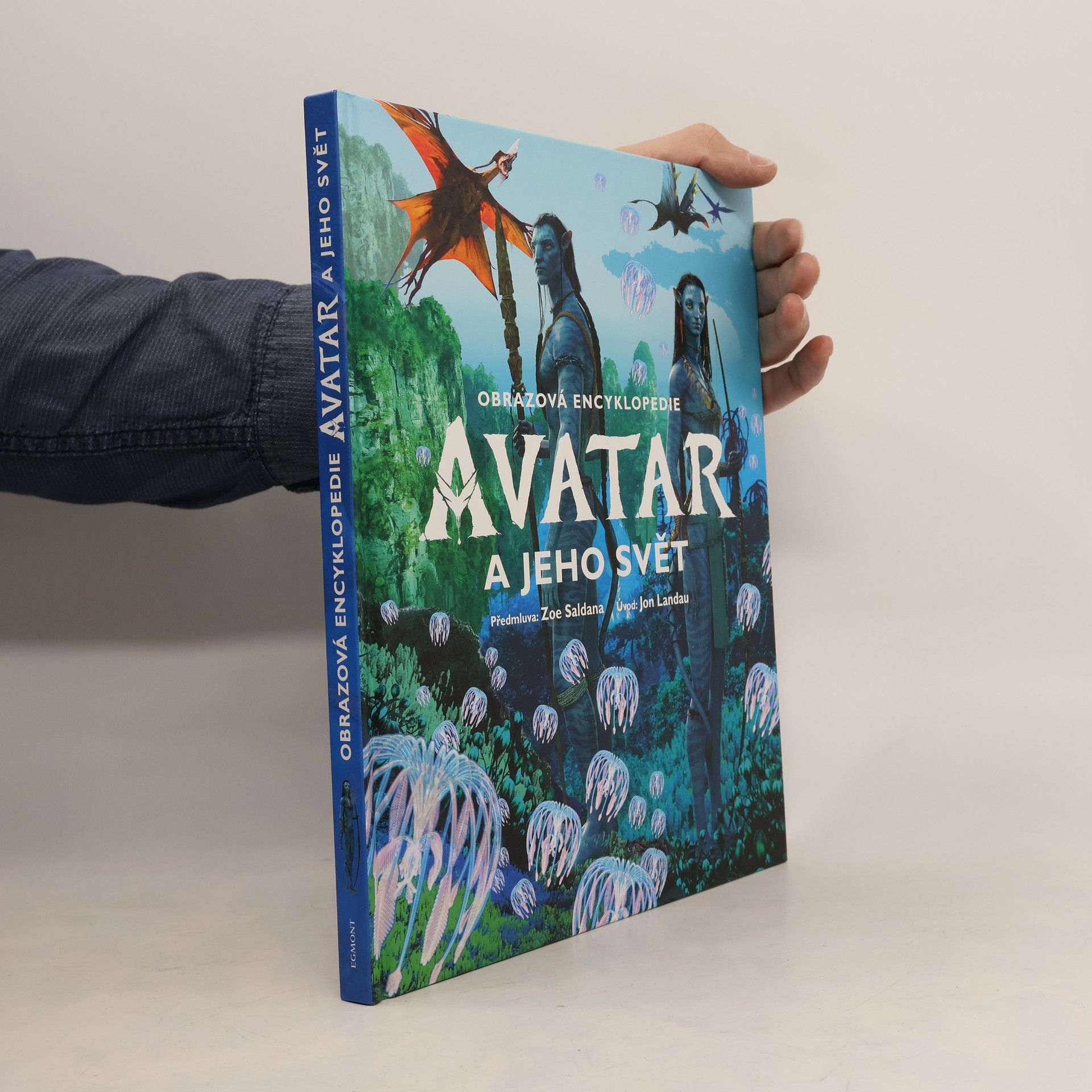 Avatar a jeho svět