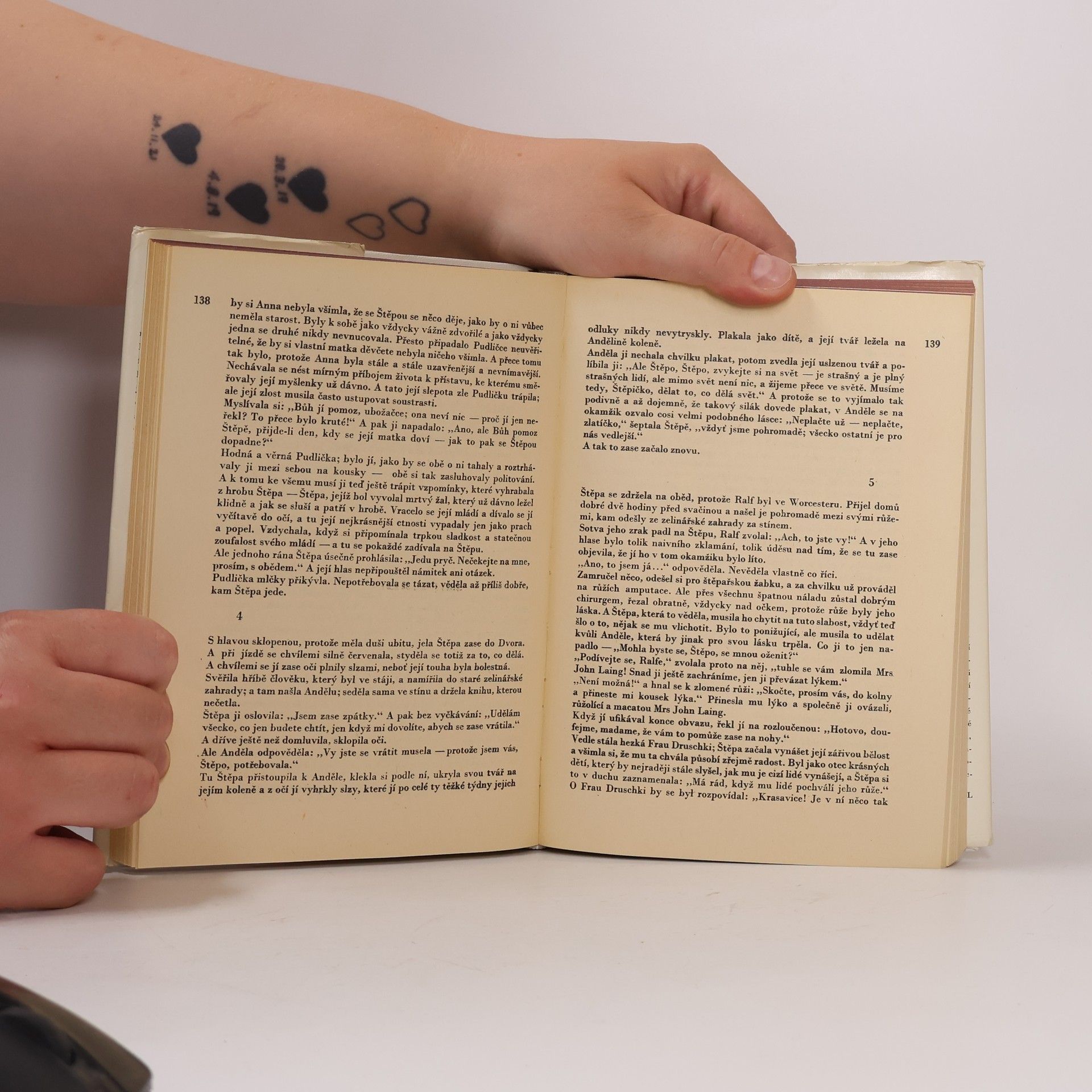 Radclyffe Hall Studna osamění