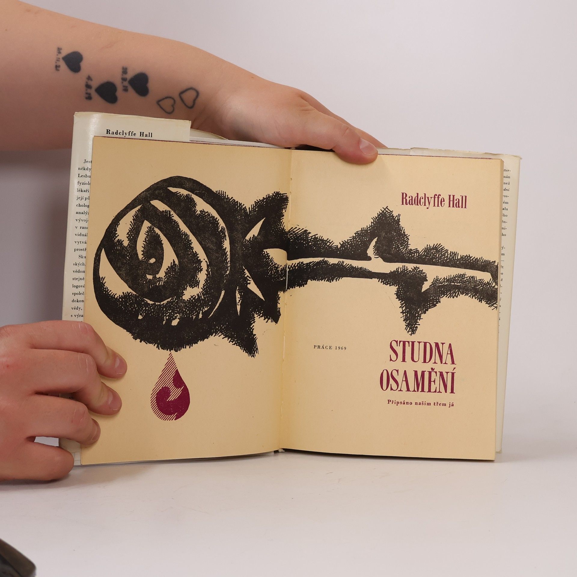 Radclyffe Hall Studna osamění