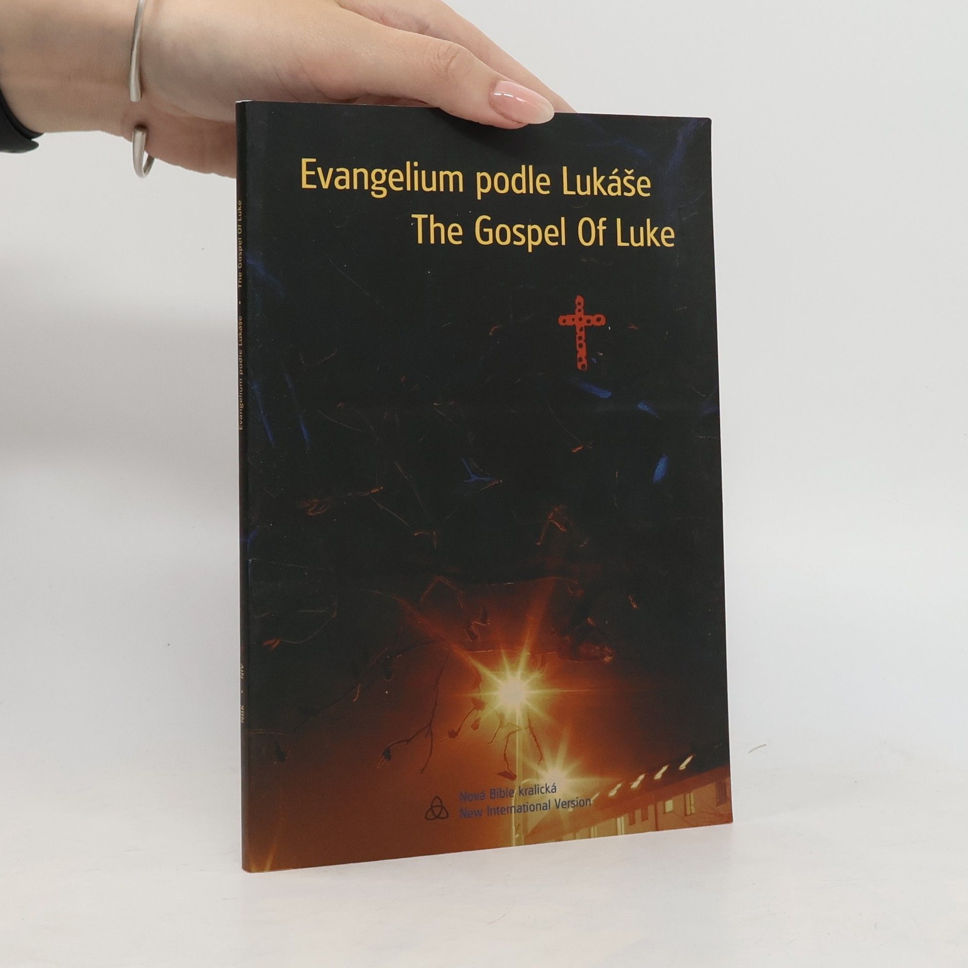 Kolektiv autorů Evangelium podle Lukáše = The Gospel of Luke