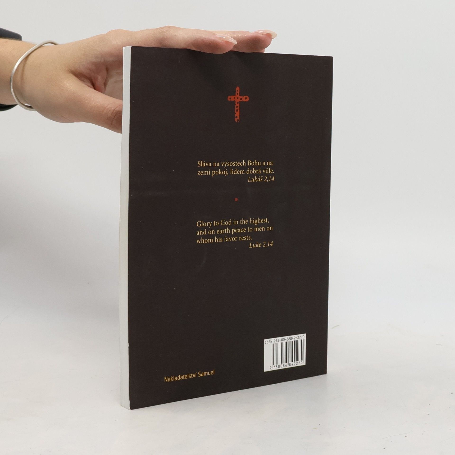 Collectif d'auteurs Evangelium podle Lukáše = The Gospel of Luke