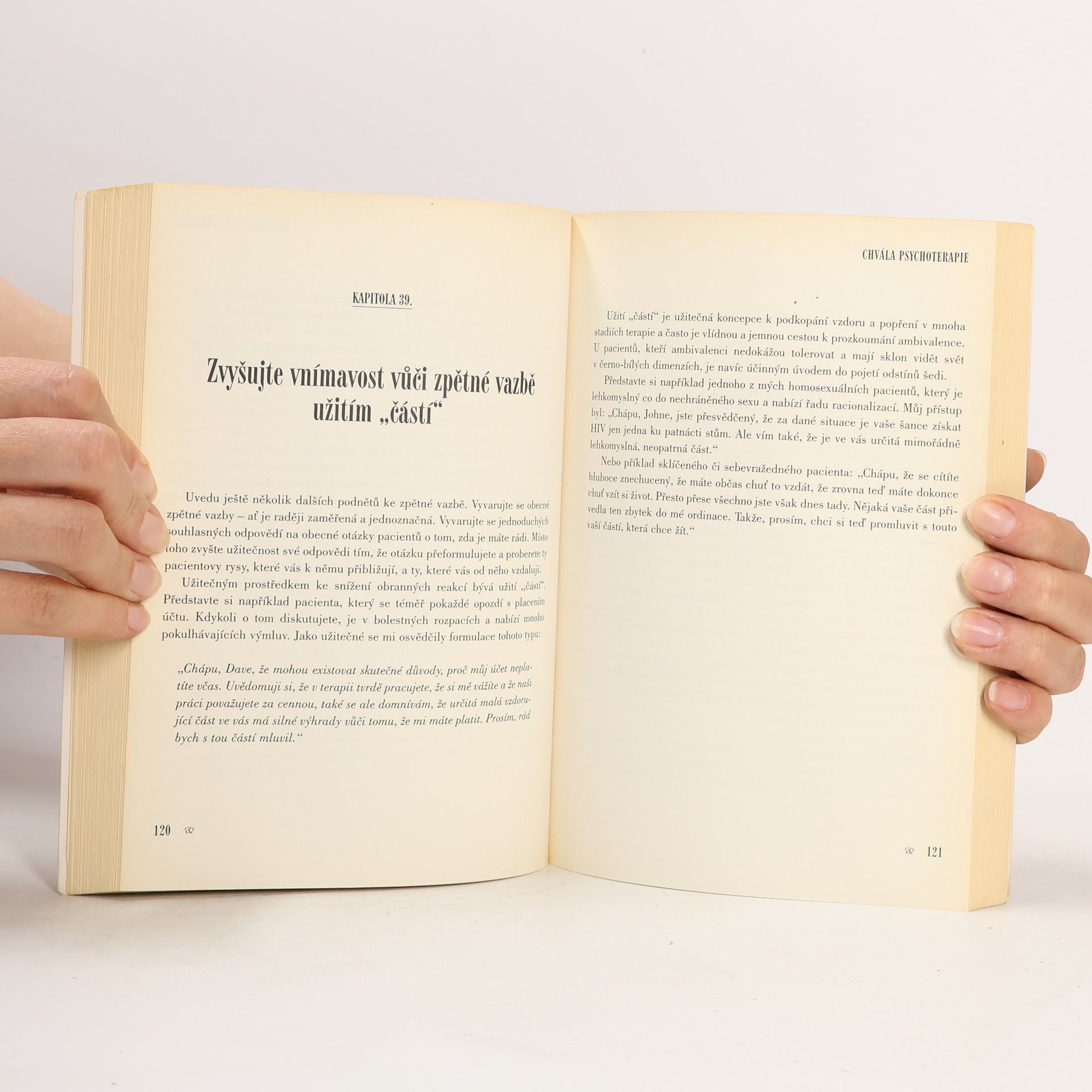 Irvin D. Yalom Chvála psychoterapie