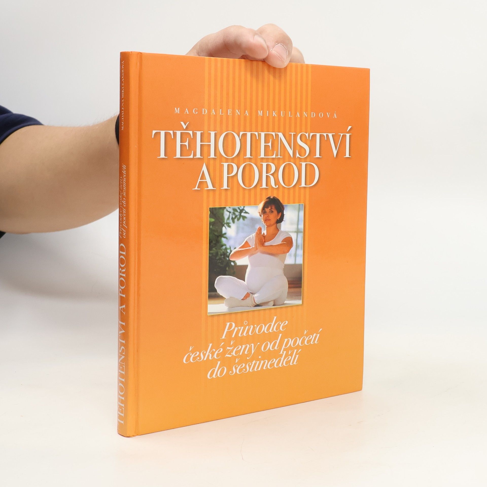 Magdalena Mikulandová Těhotenství a porod. Průvodce české ženy od početí do šestinedělí