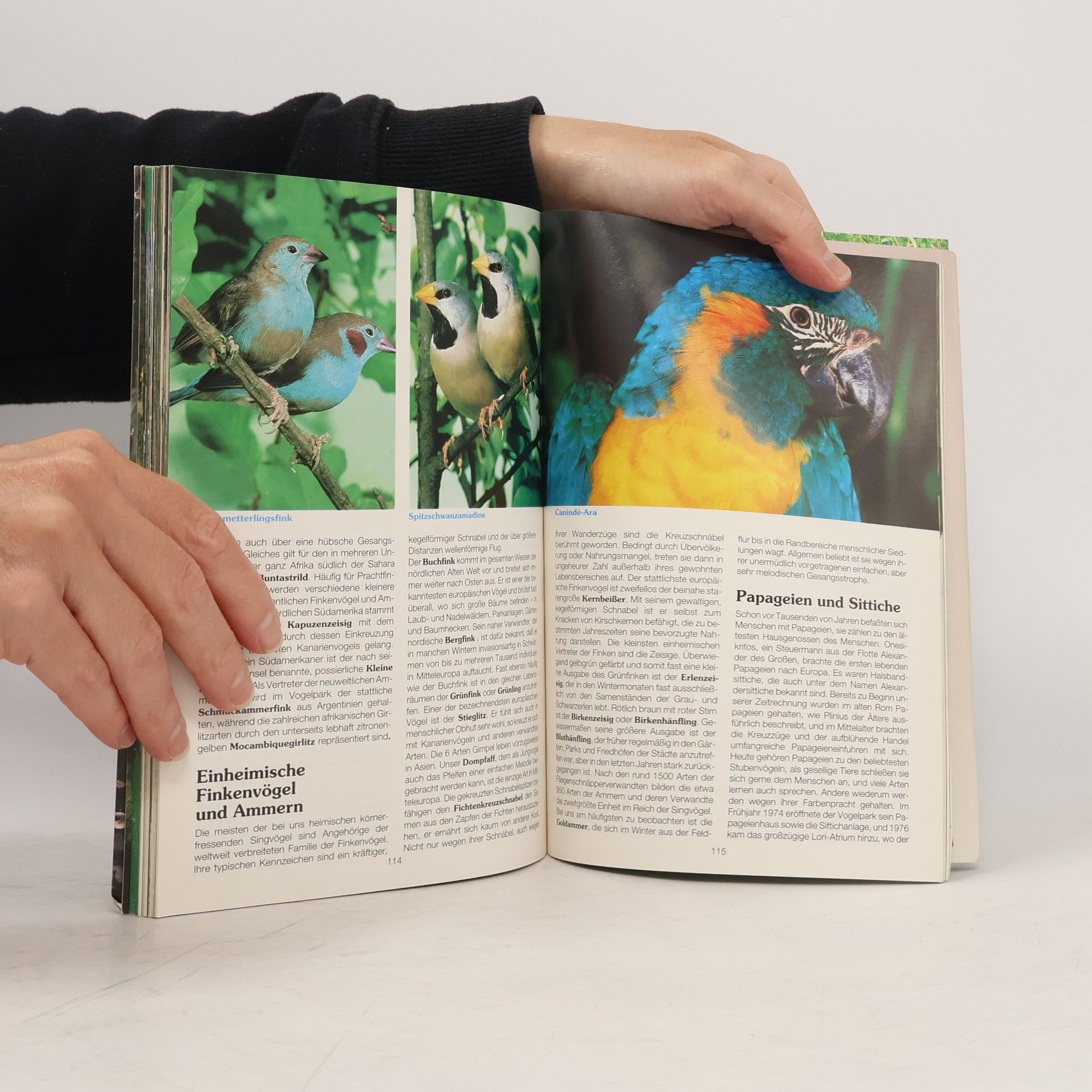 Various authors Vogelpark Walsrode