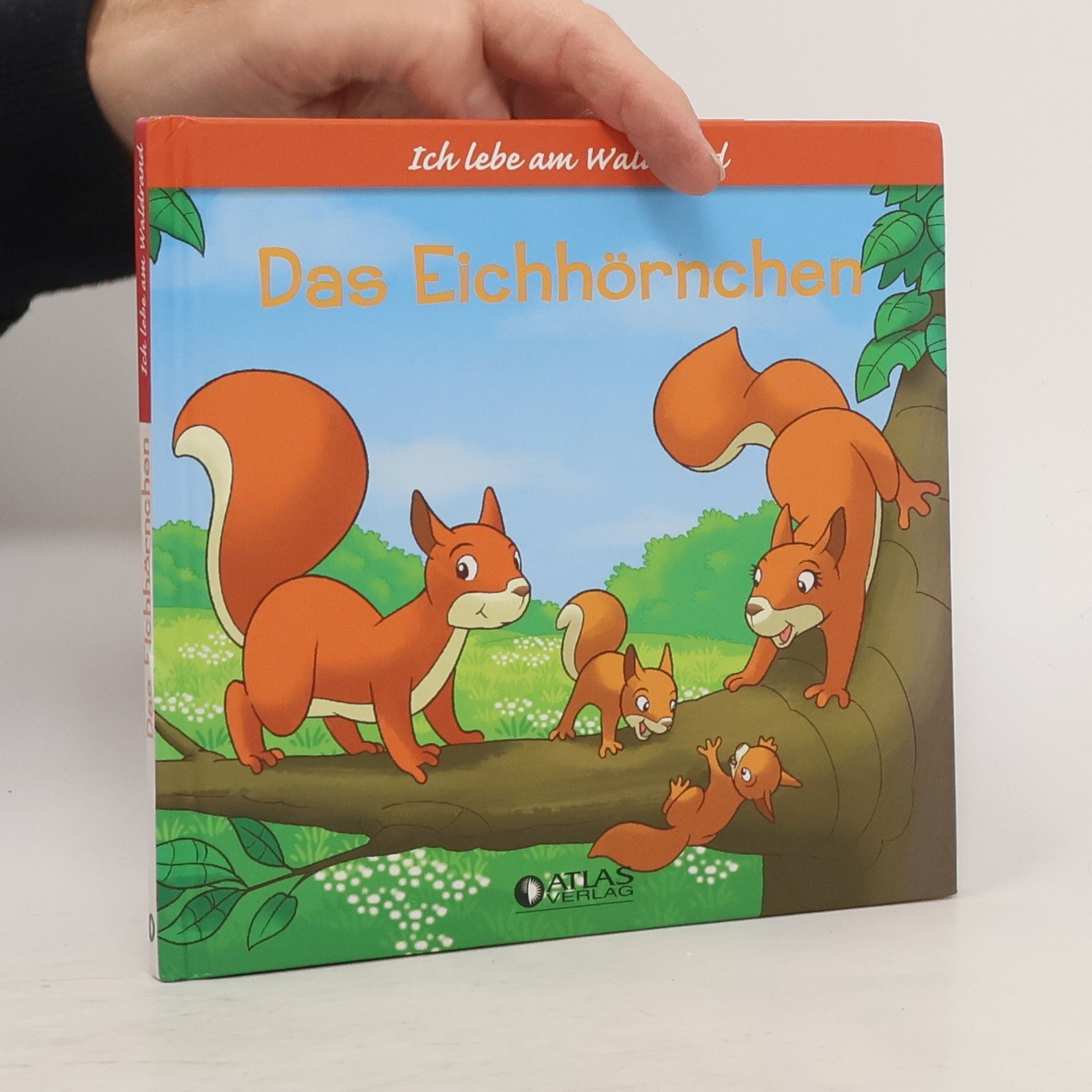 Feryal Kanbay Das Eichhörnchen