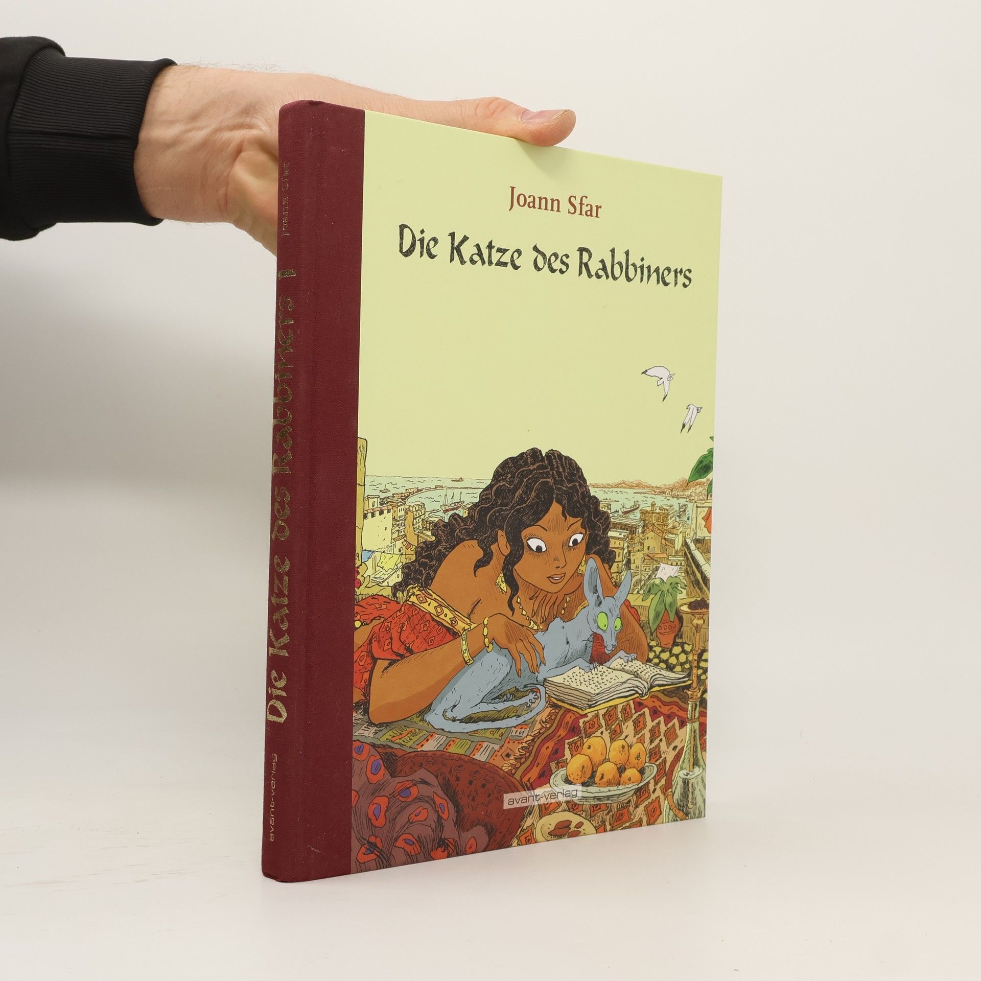 Joann Sfar Die Katze des Rabbiners