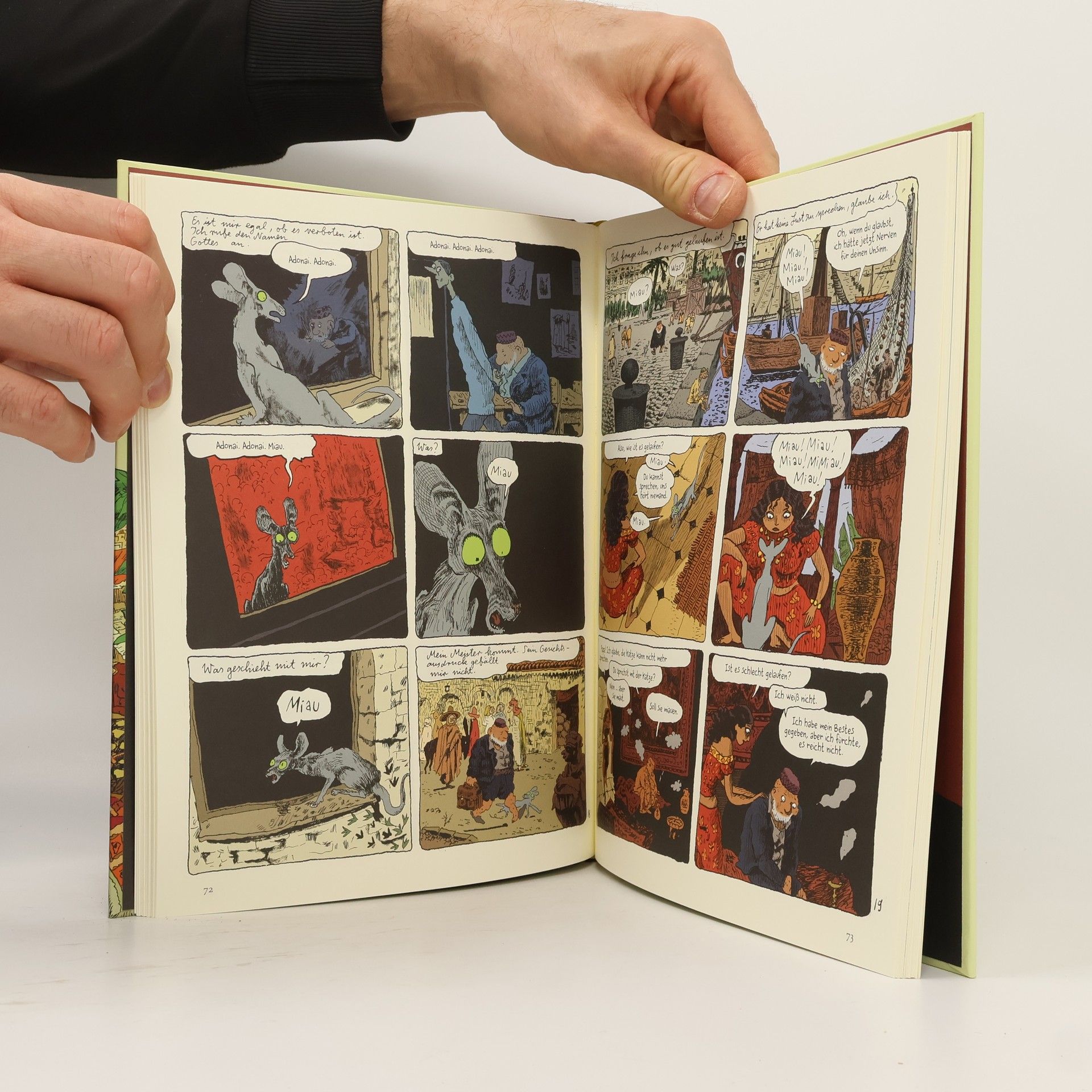 Joann Sfar Die Katze des Rabbiners