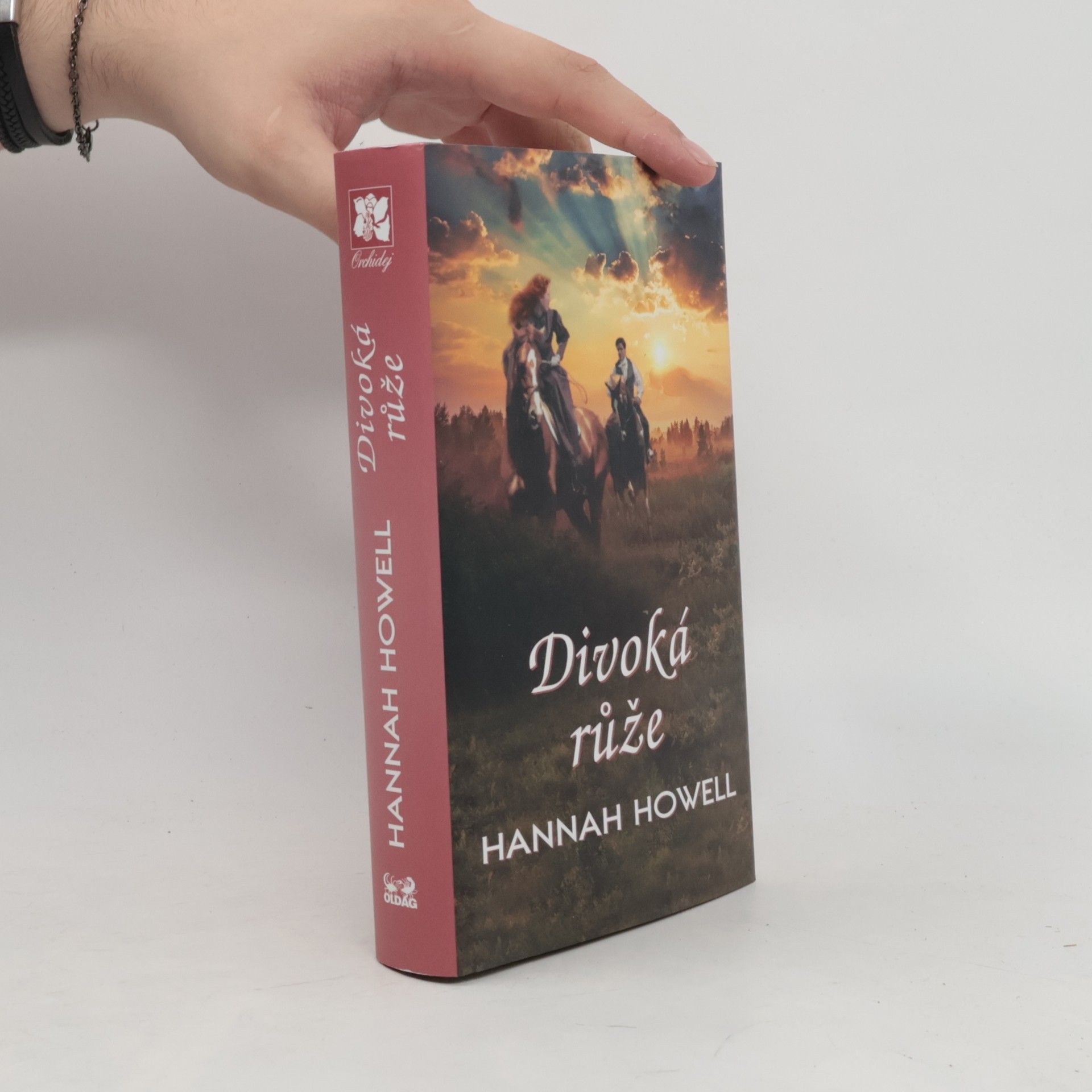 Hannah Howell Divoká růže