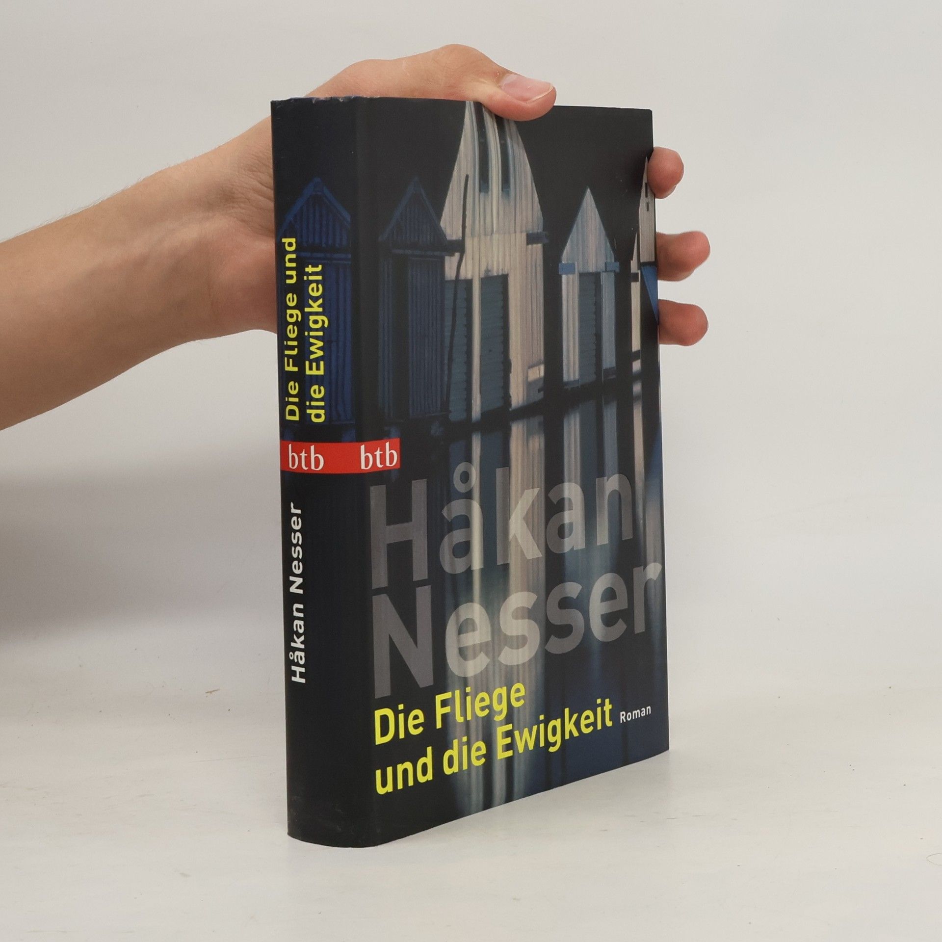 Håkan Nesser Die Fliege und die Ewigkeit