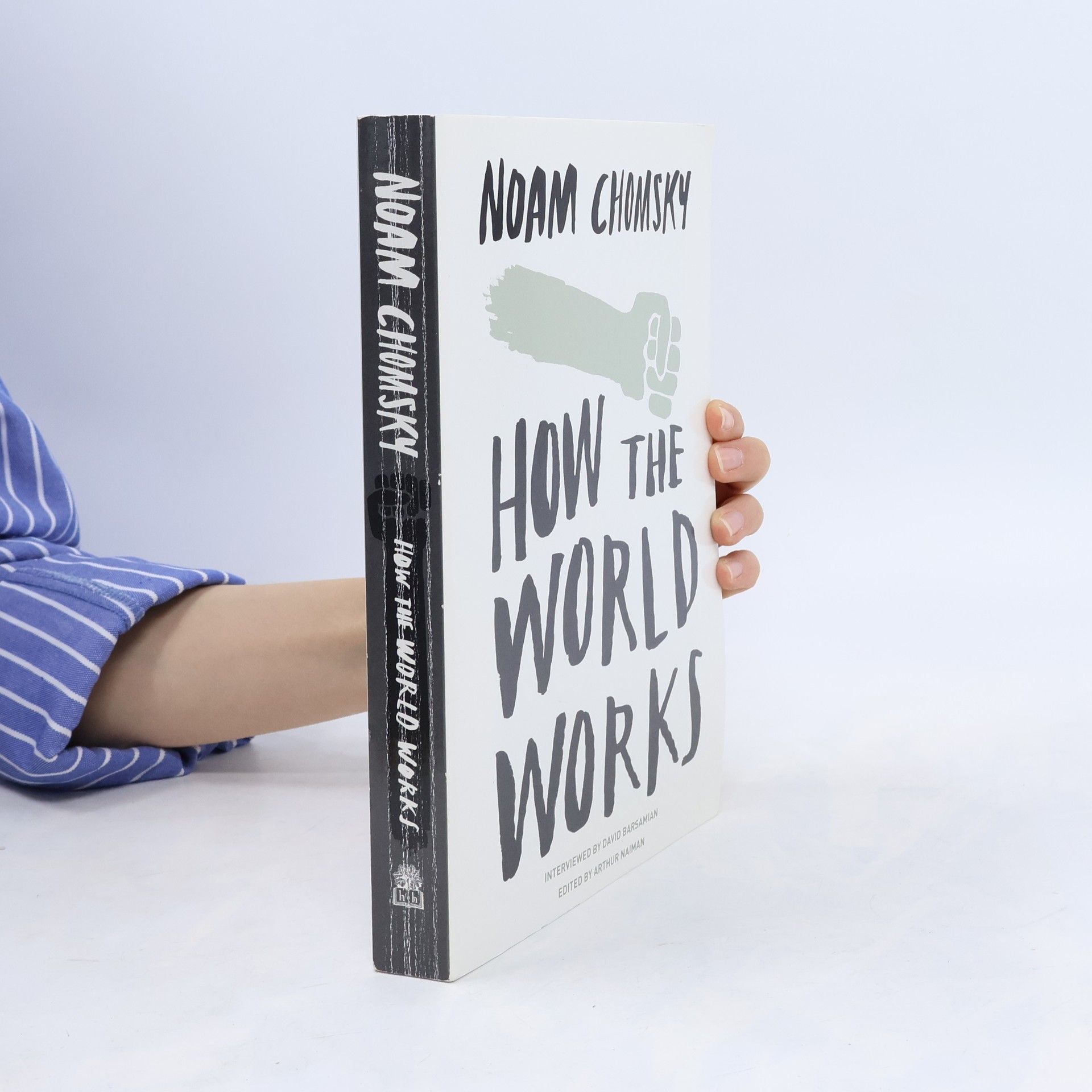 Noam Chomsky How the World Works