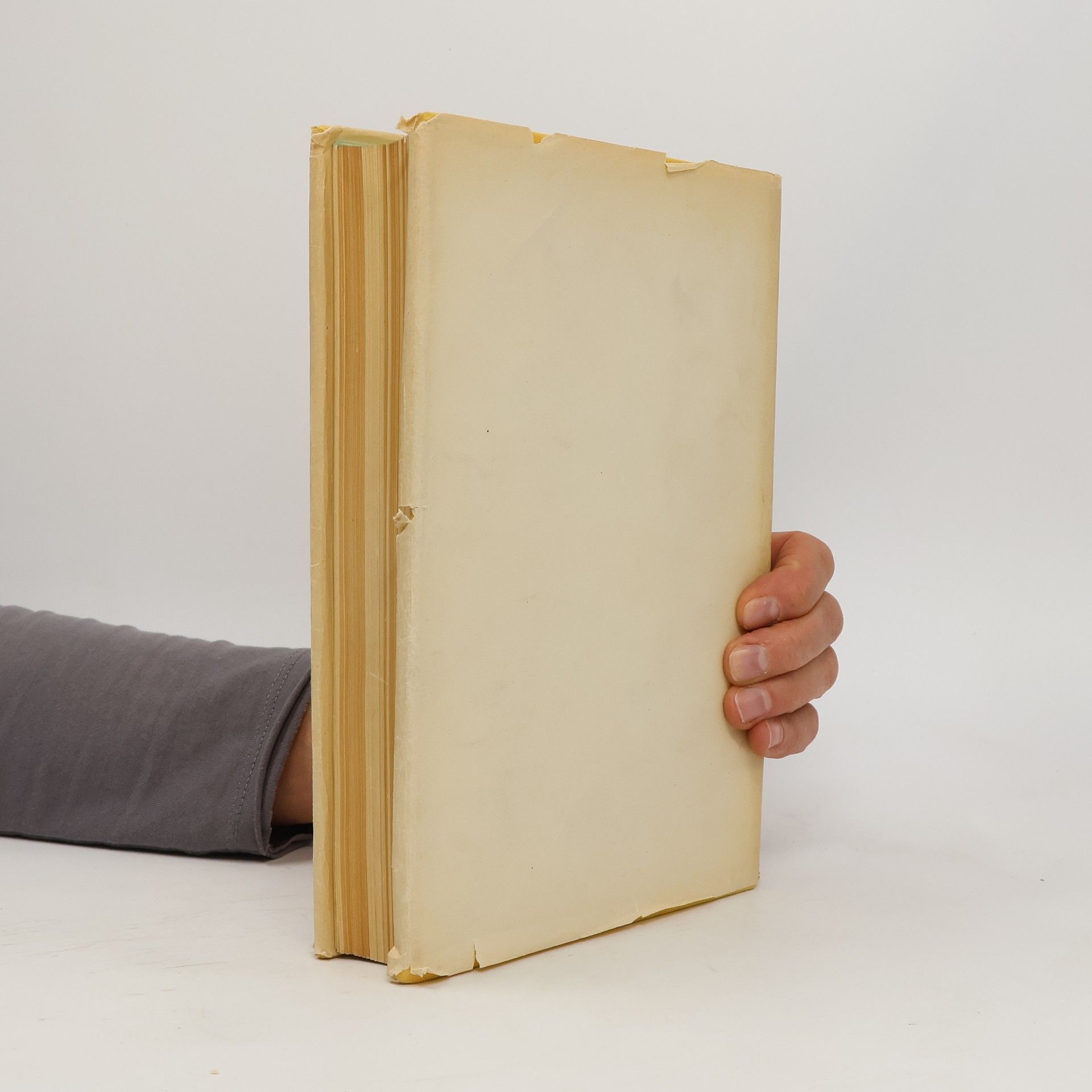 Karel Plicka Český rok v pohádkách, písních, hrách a tancích, říkadlech a hádankách. Druhý svazek. Léto