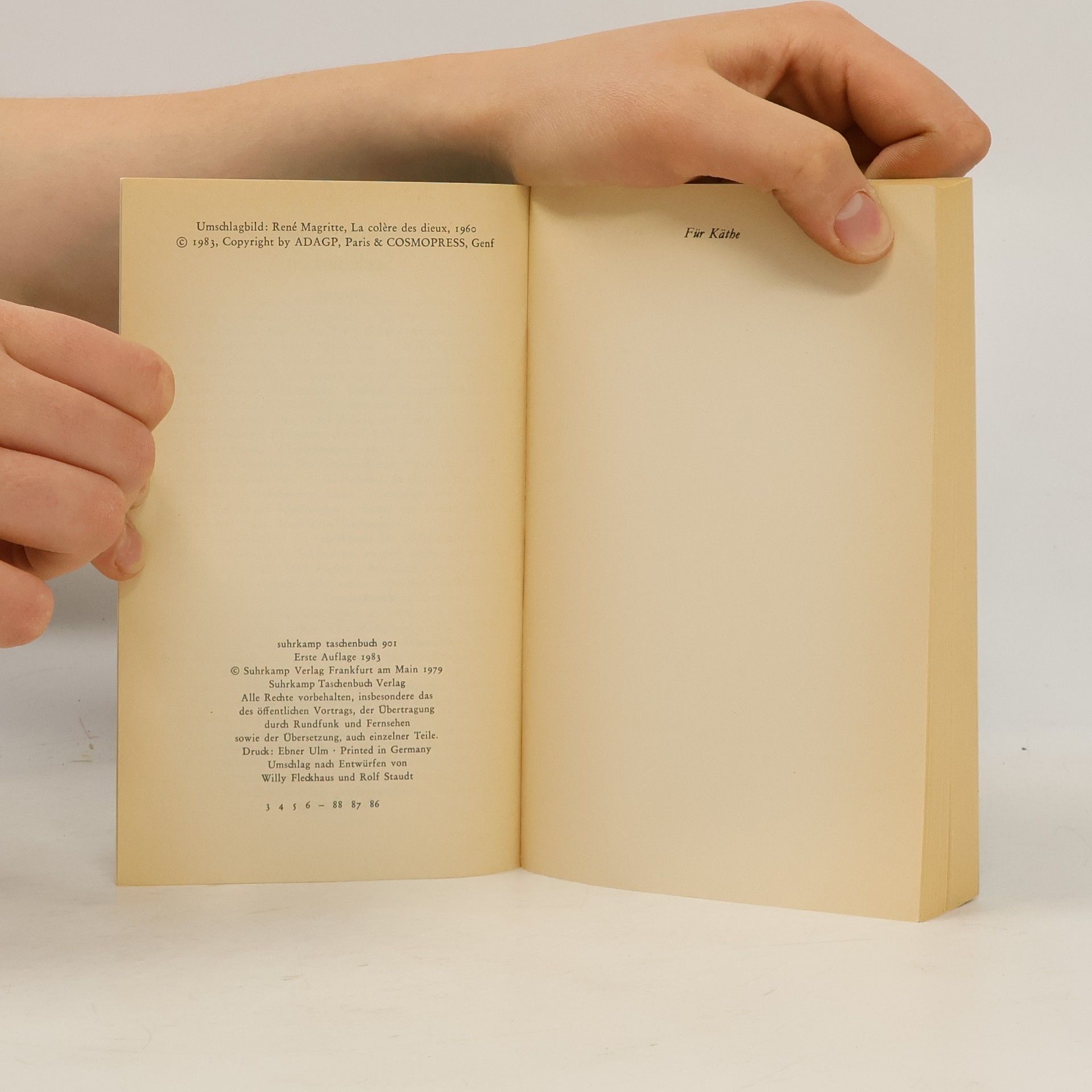 Martin Walser Seelenarbeit