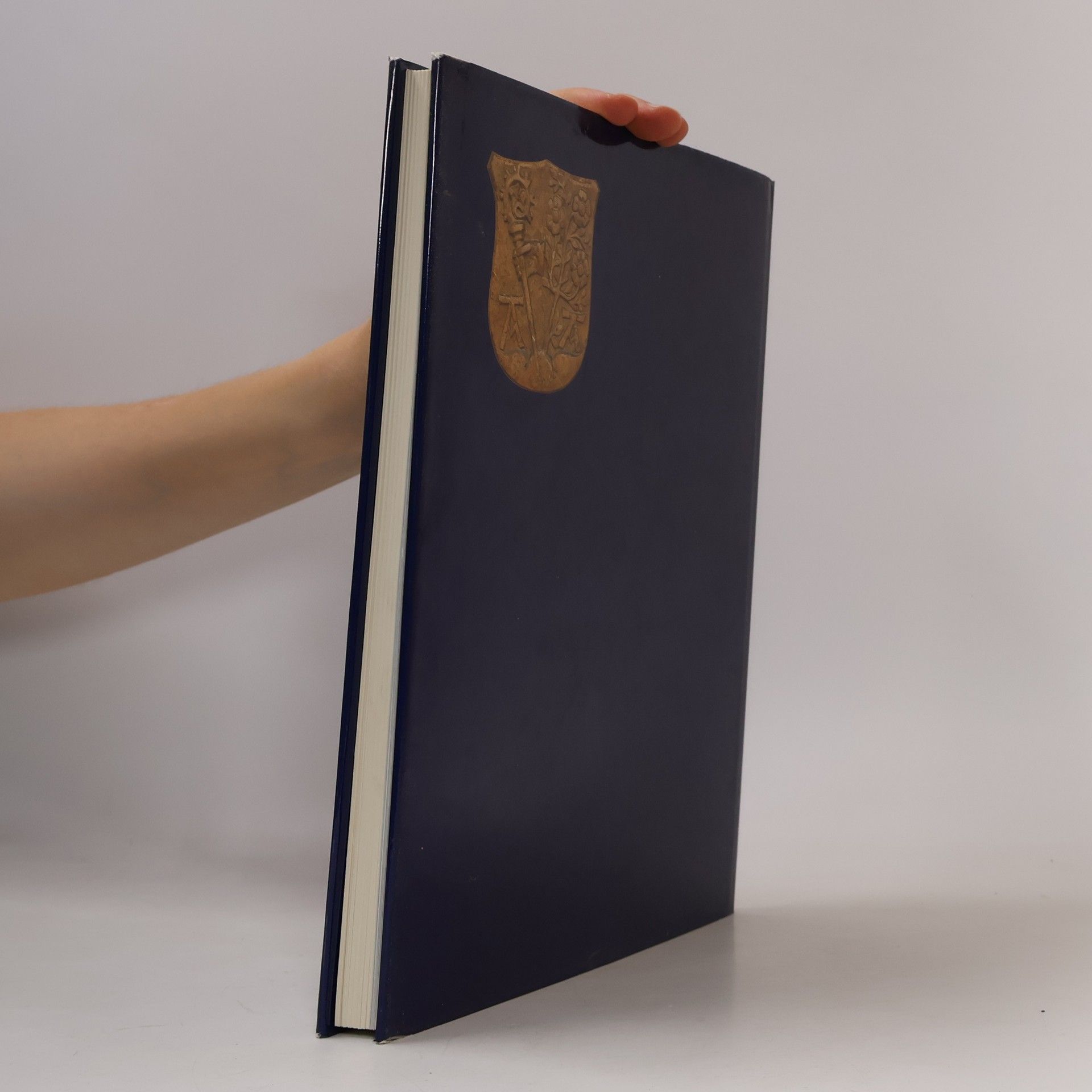Hanna Egger Stift Altenburg und seine Kunstschätze