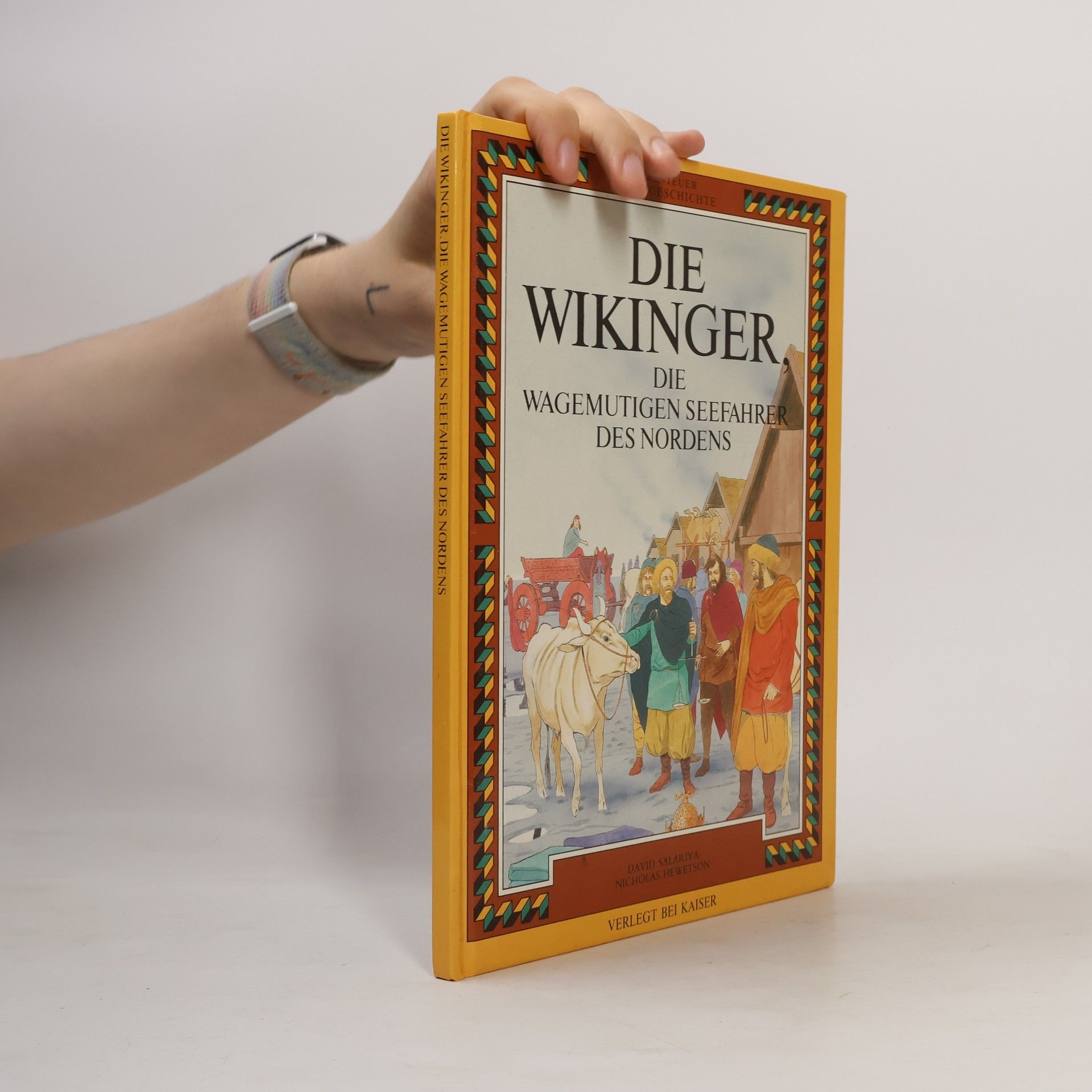 David Salariya Die Wikinger