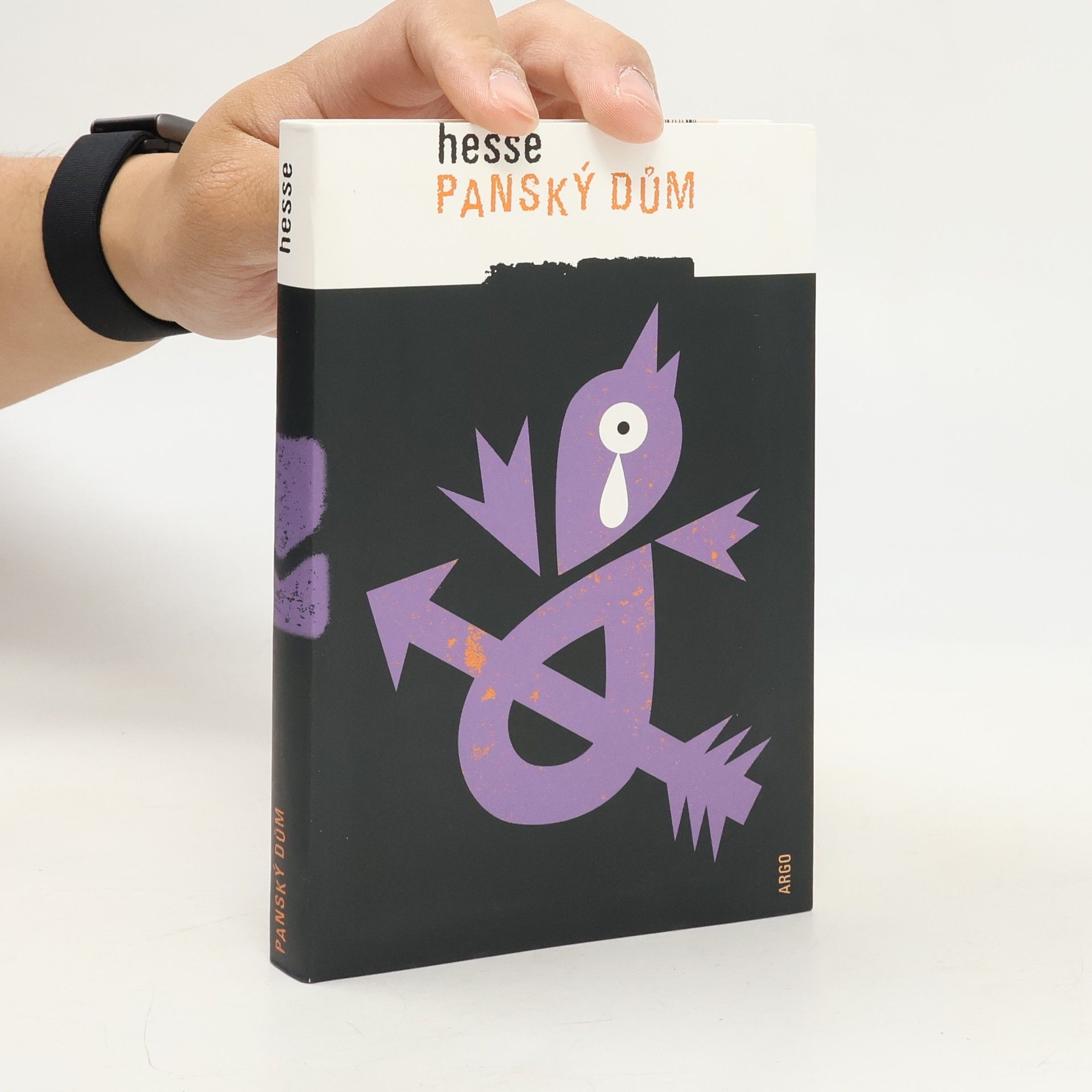 Hermann Hesse Panský dům