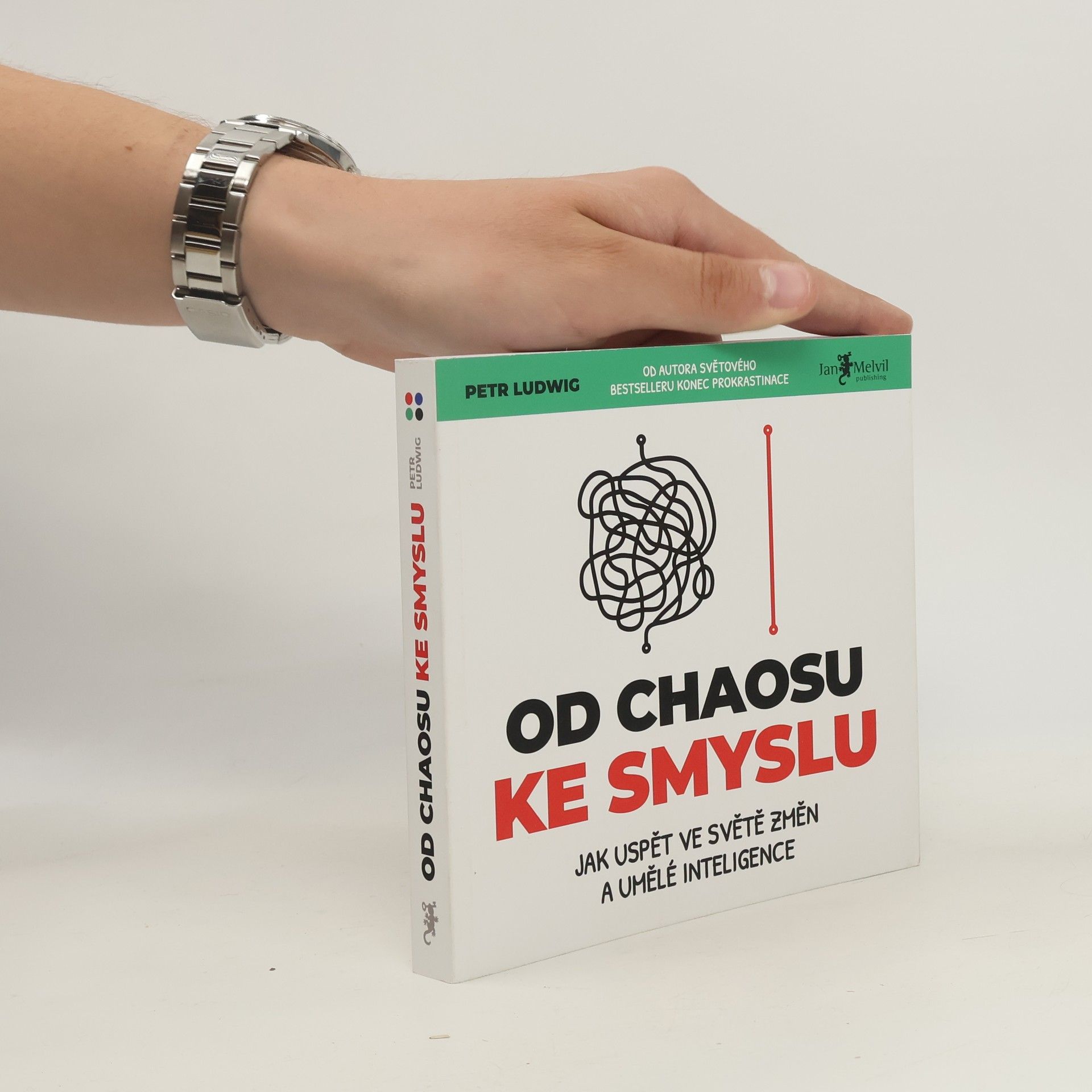 Petr Ludwig Od chaosu ke smyslu