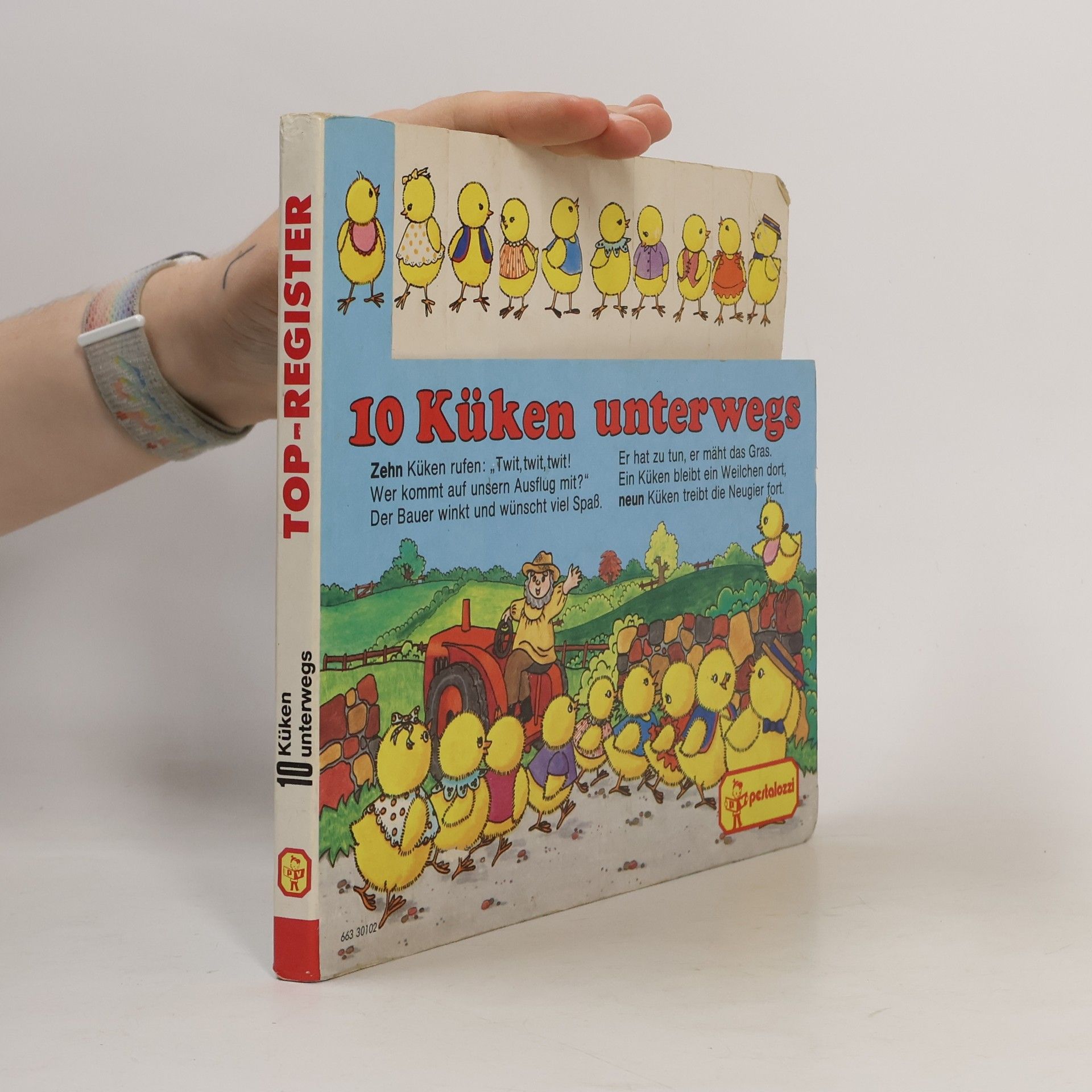 Autorenkollektiv Top-Register: 10 Küken unterwegs