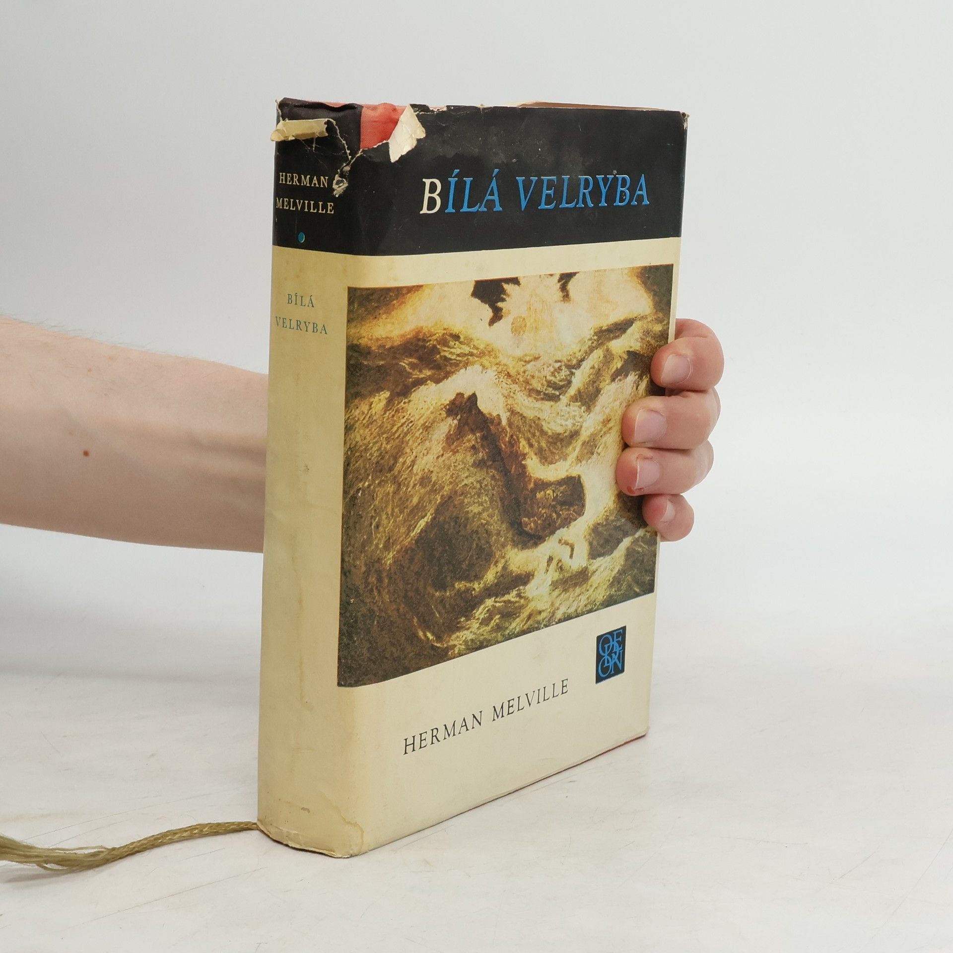Herman Melville Bílá velryba