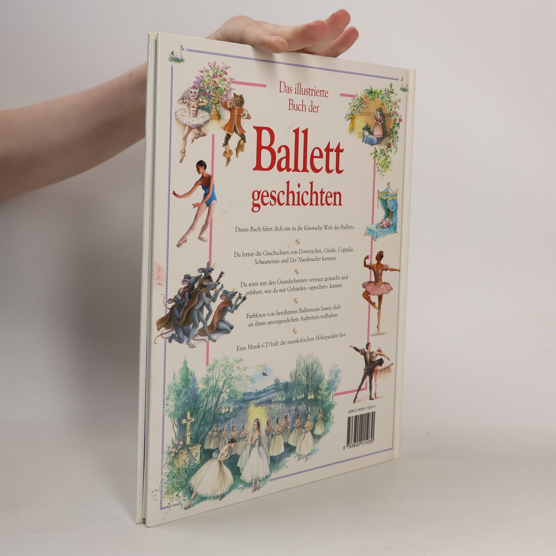 Autorenkollektiv Das illustrierte Buch der Ballettgeschichten