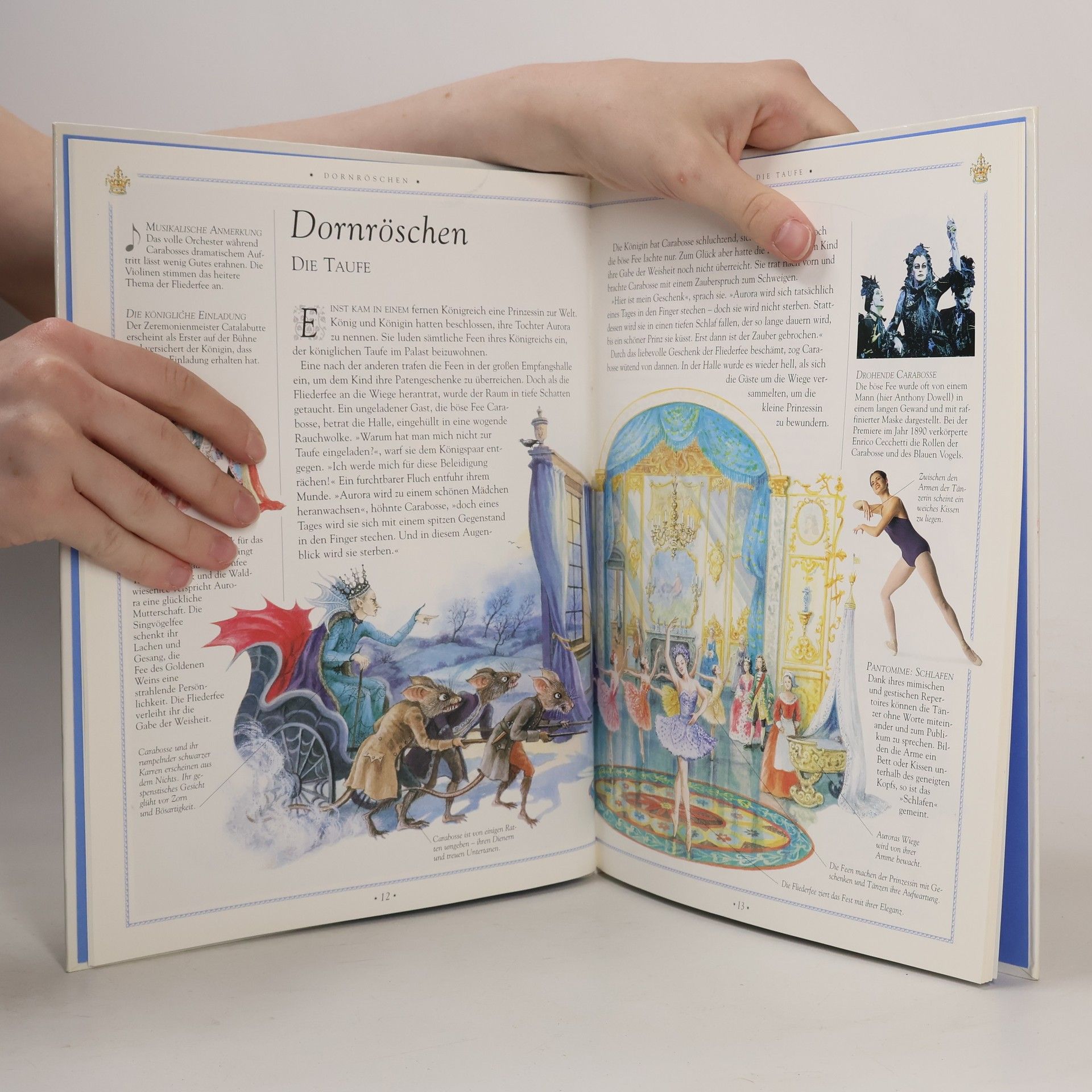 Autorenkollektiv Das illustrierte Buch der Ballettgeschichten