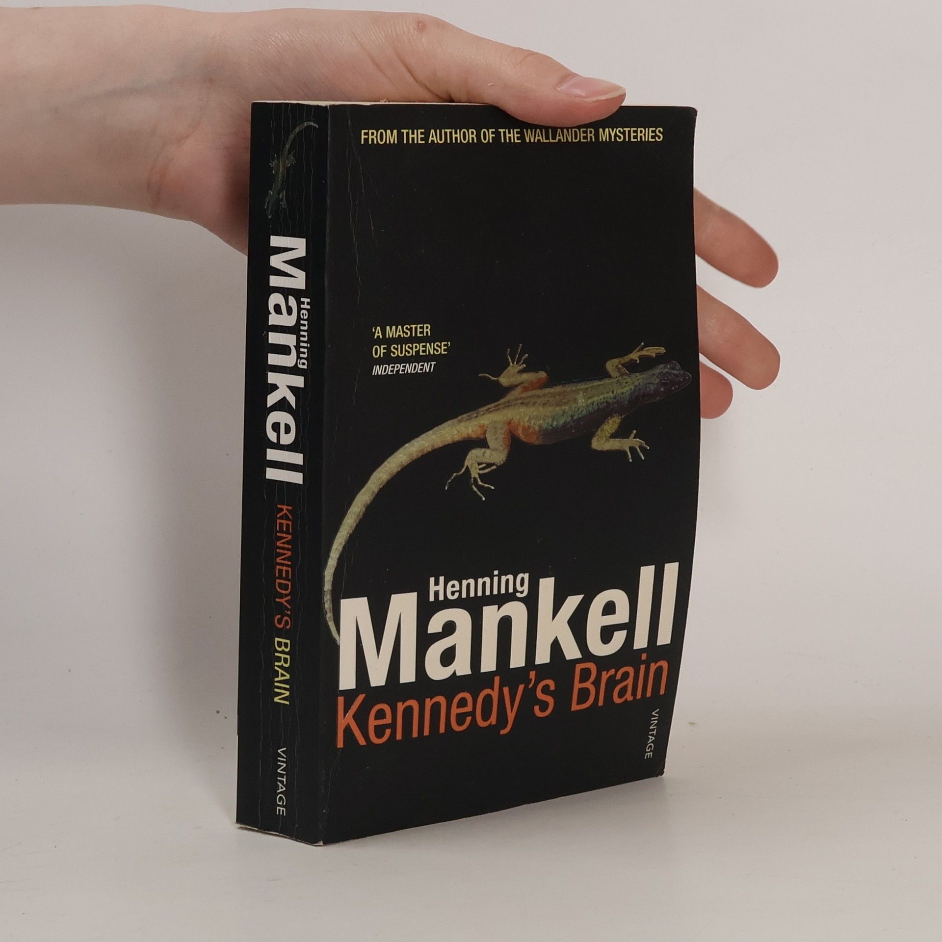 Henning Mankell Kennedy's Brain