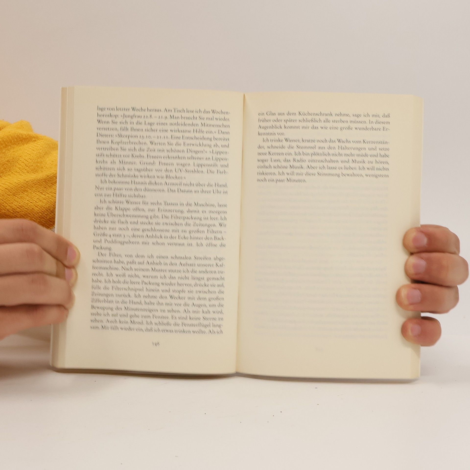 Ingo Schulze Simple Storys