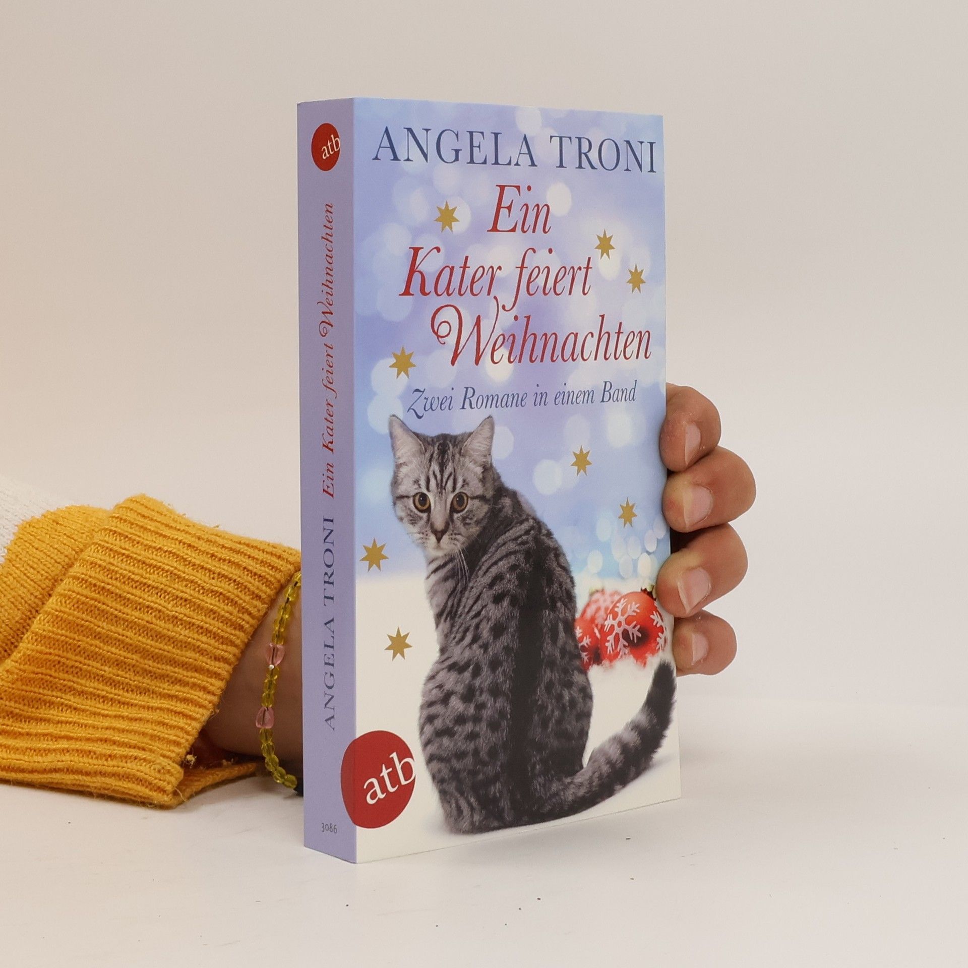 Angela Troni Ein Kater feiert Weihnachten