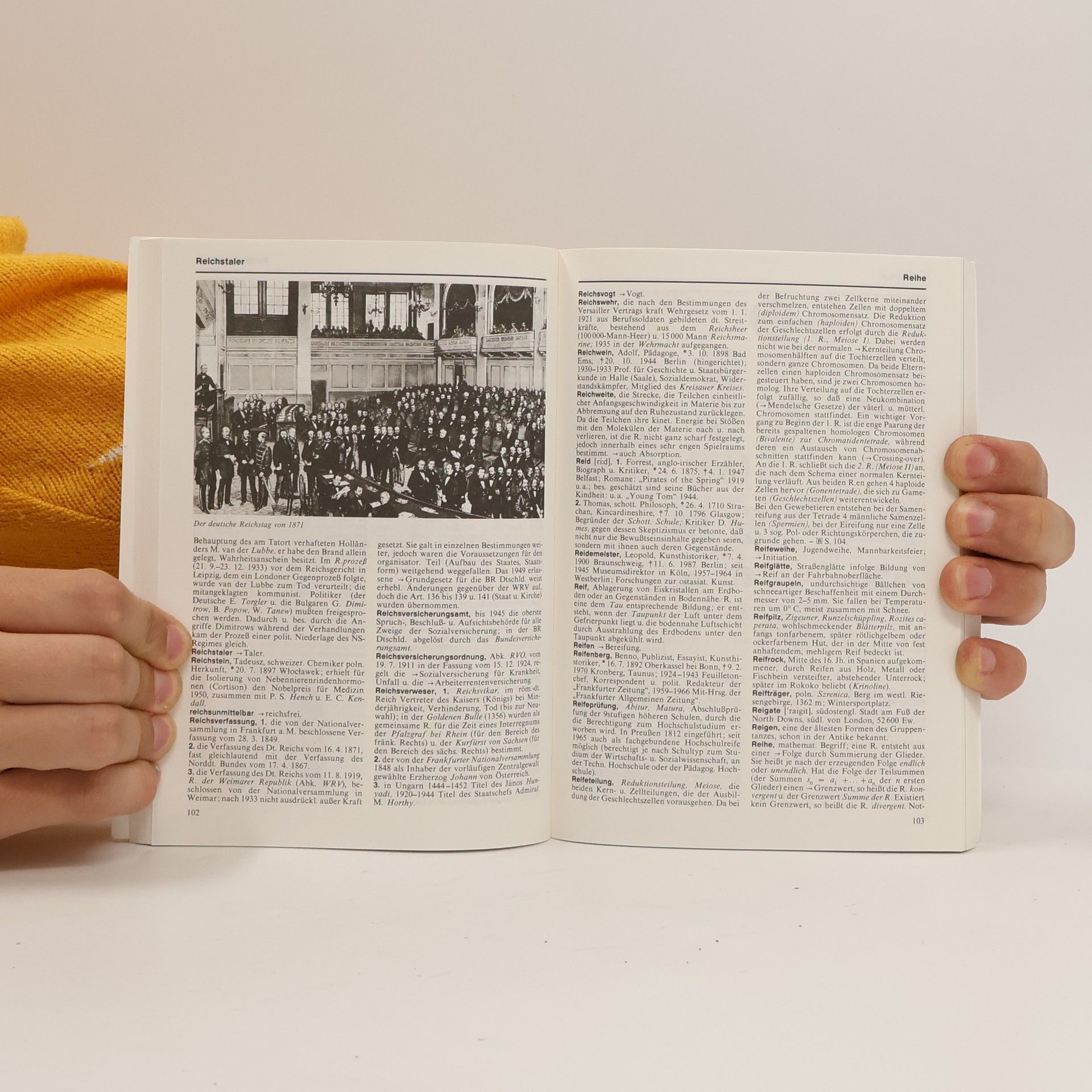 Das neue Taschen-Lexikon