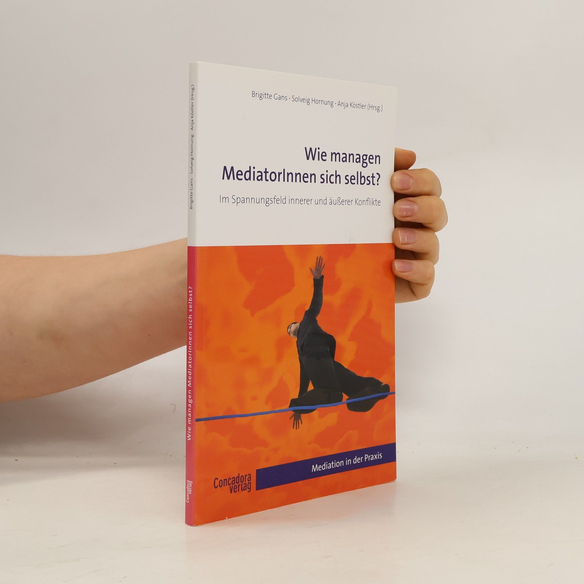 Solveig Hornung Mediation in der Praxis: Wie managen MediatorInnen sich selbst?