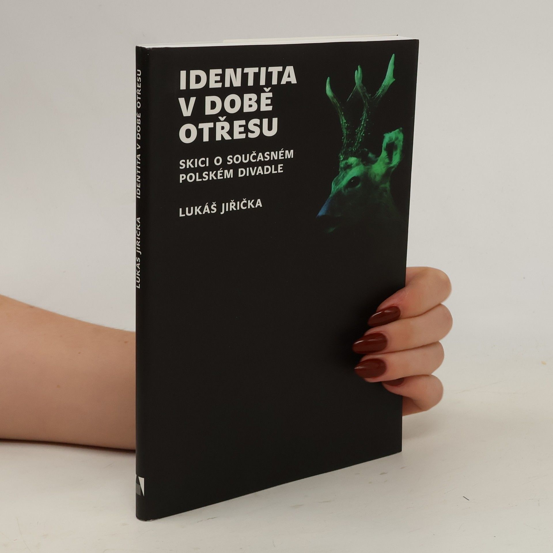 Lukáš Jiřička Identita v době otřesu