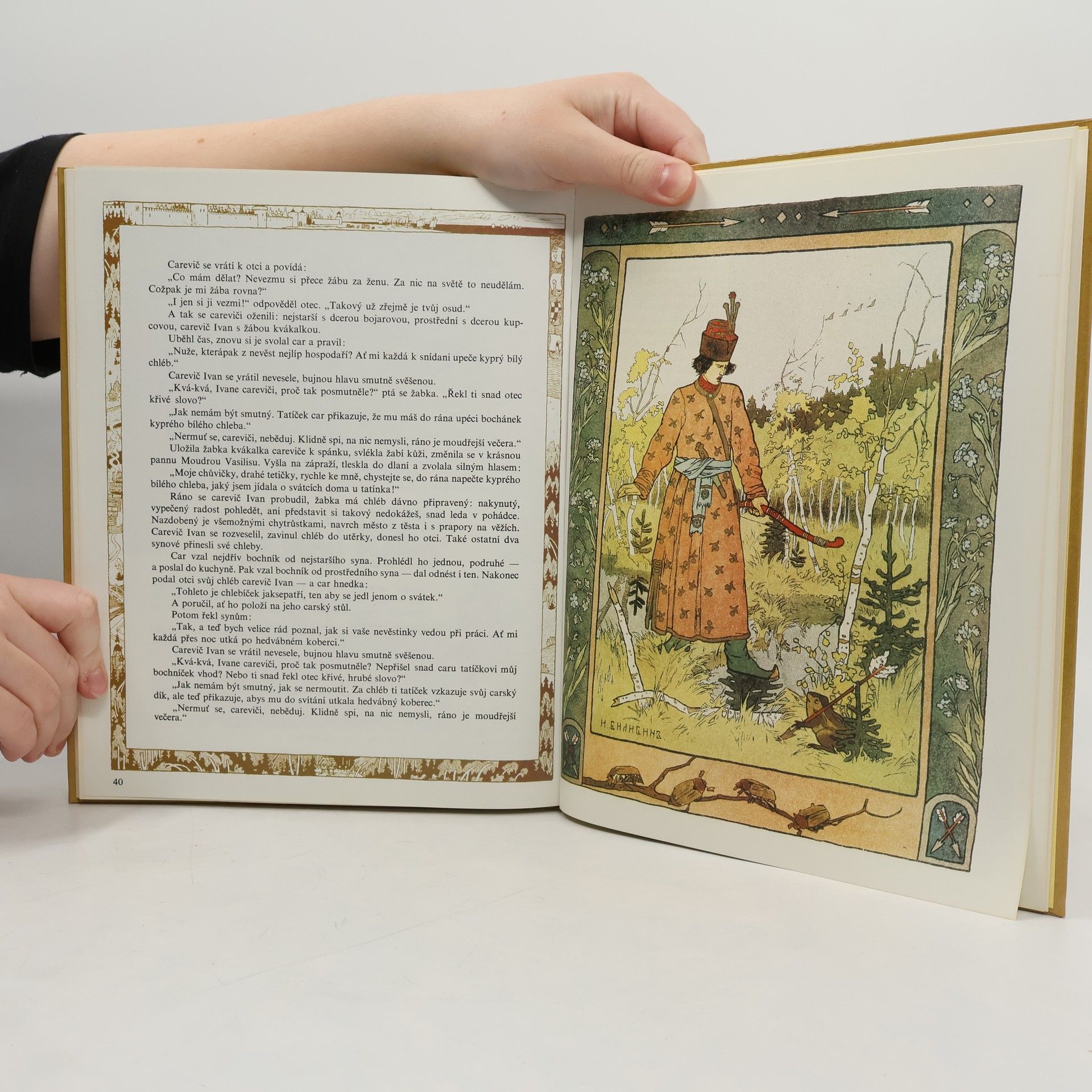 Autores varios Peříčko Finista Jasného sokola